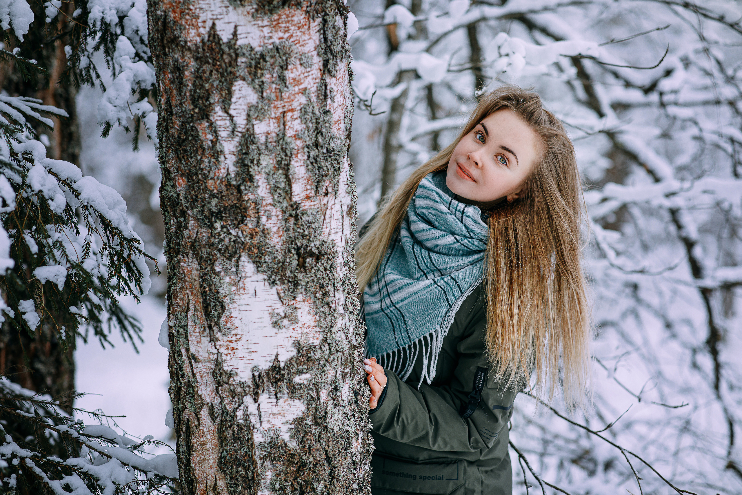 Зима. Фотограф г. Зубцов Елена Соколова