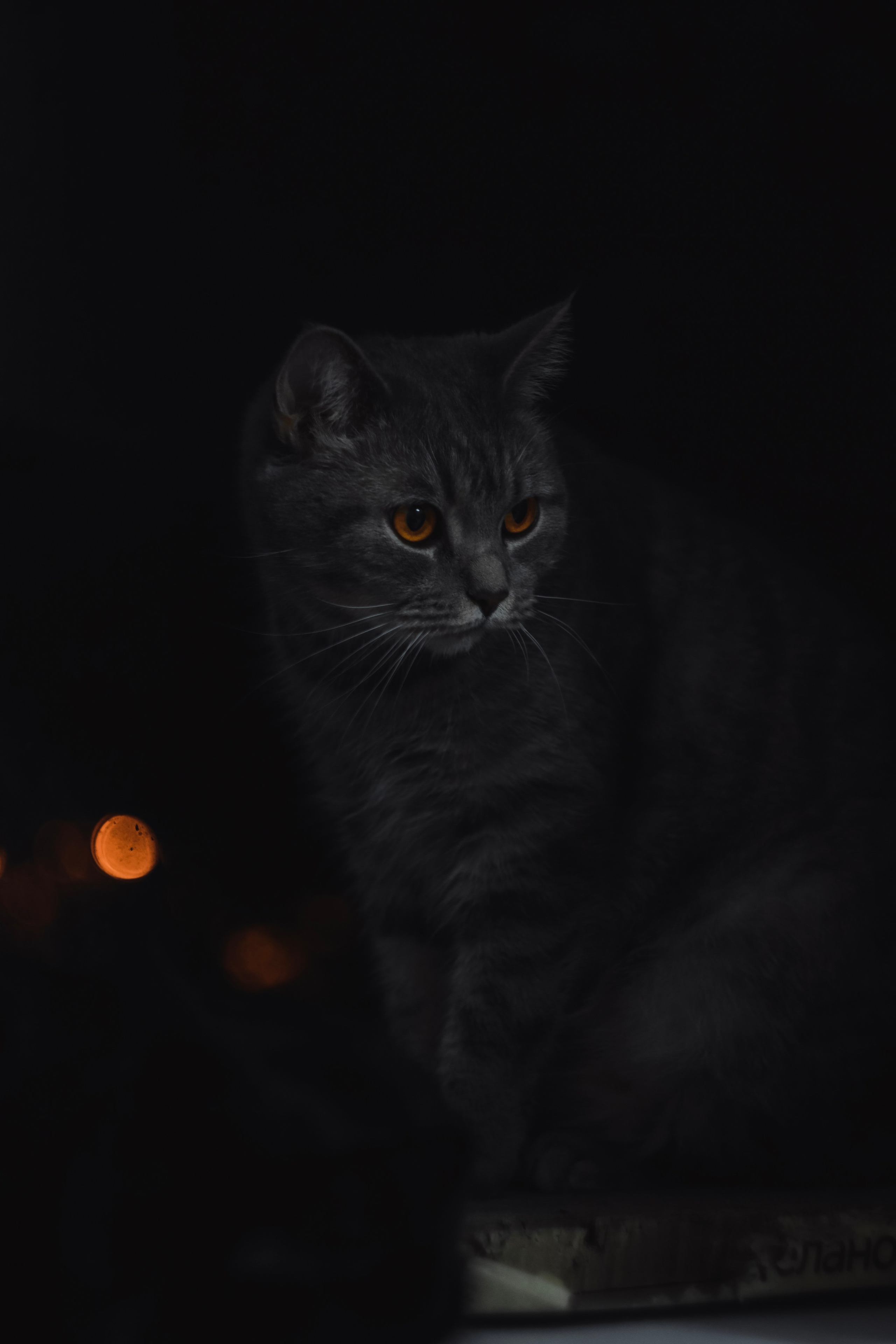 М А Р Т И Н. — Digital Noise —