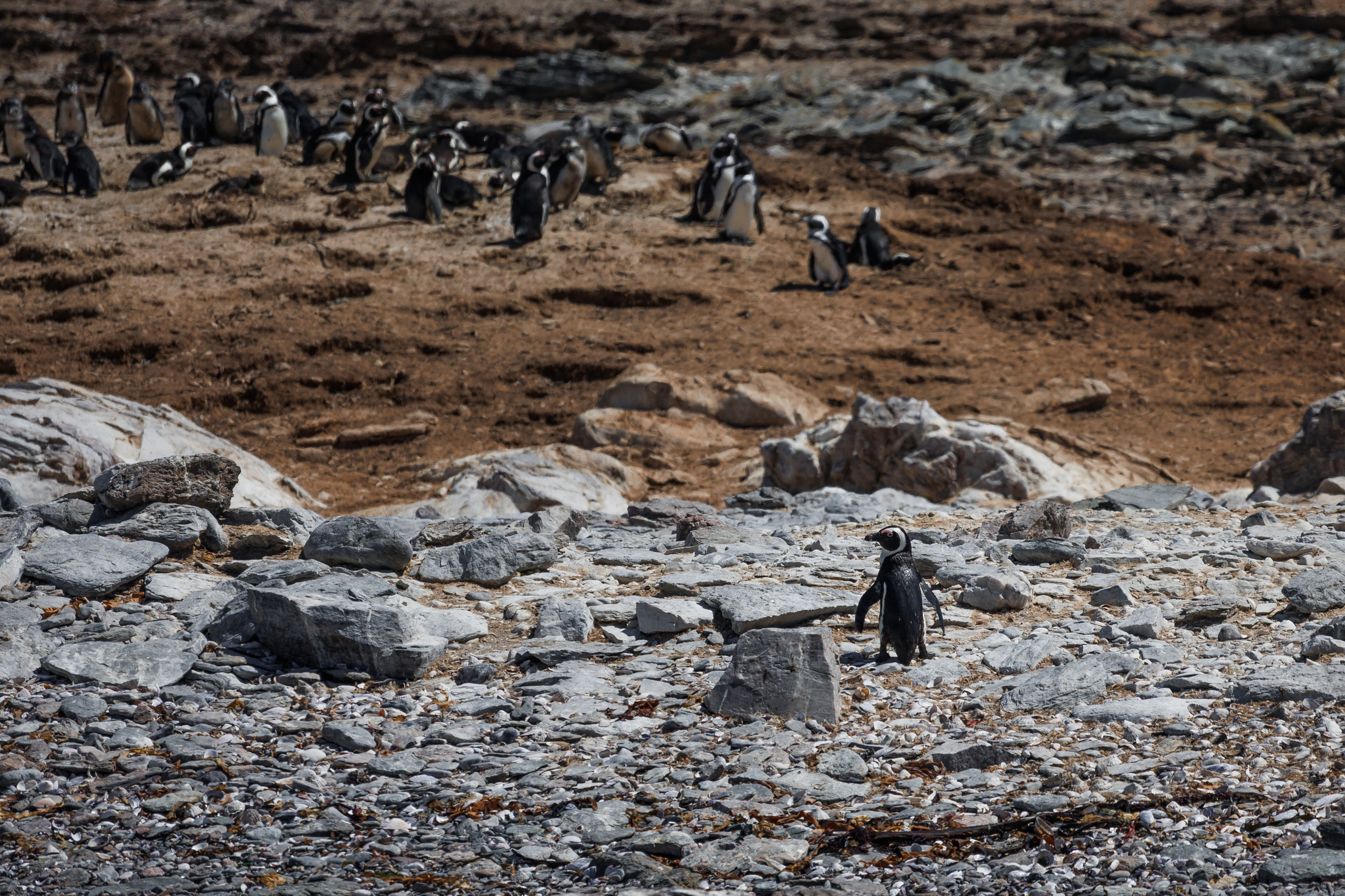 НАМИБИЯ. Роадтрип