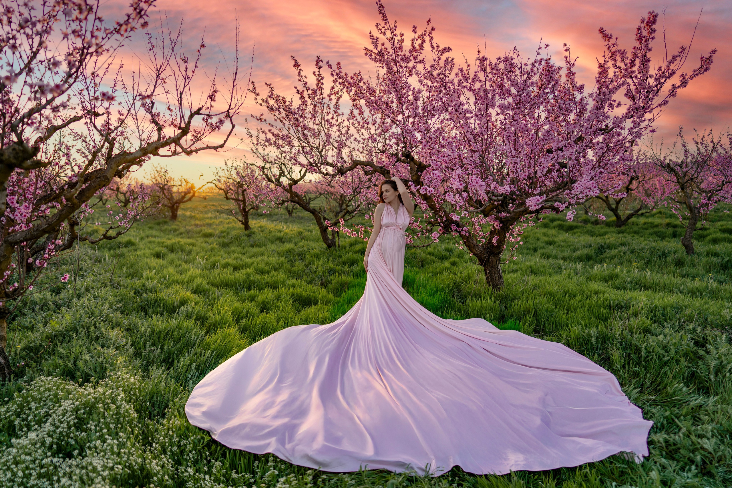 Розовое со шлейфом (s-l). Фотограф в Крыму Лебедева Александра