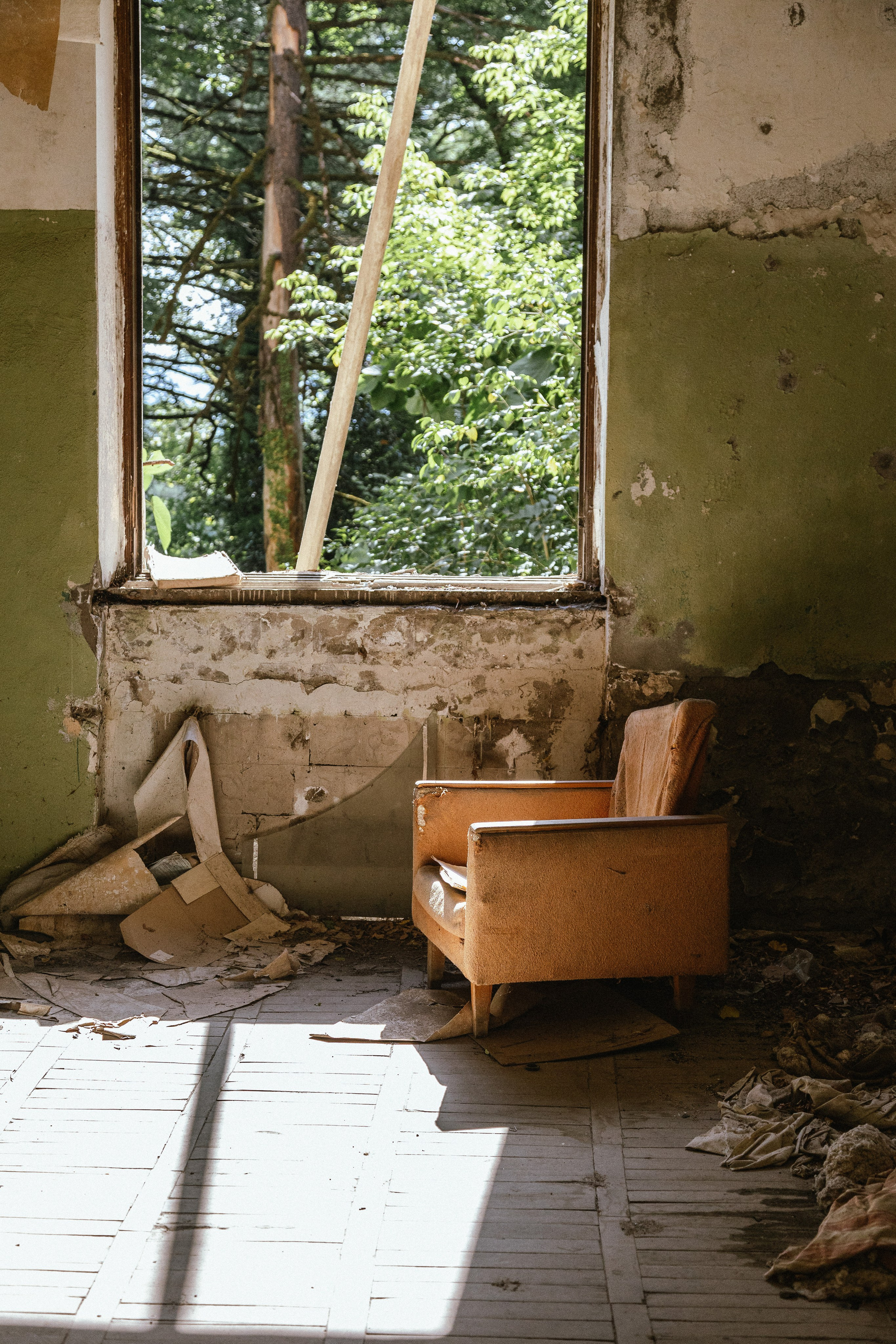 Грузия. Добродеева Алла фотограф, Москва