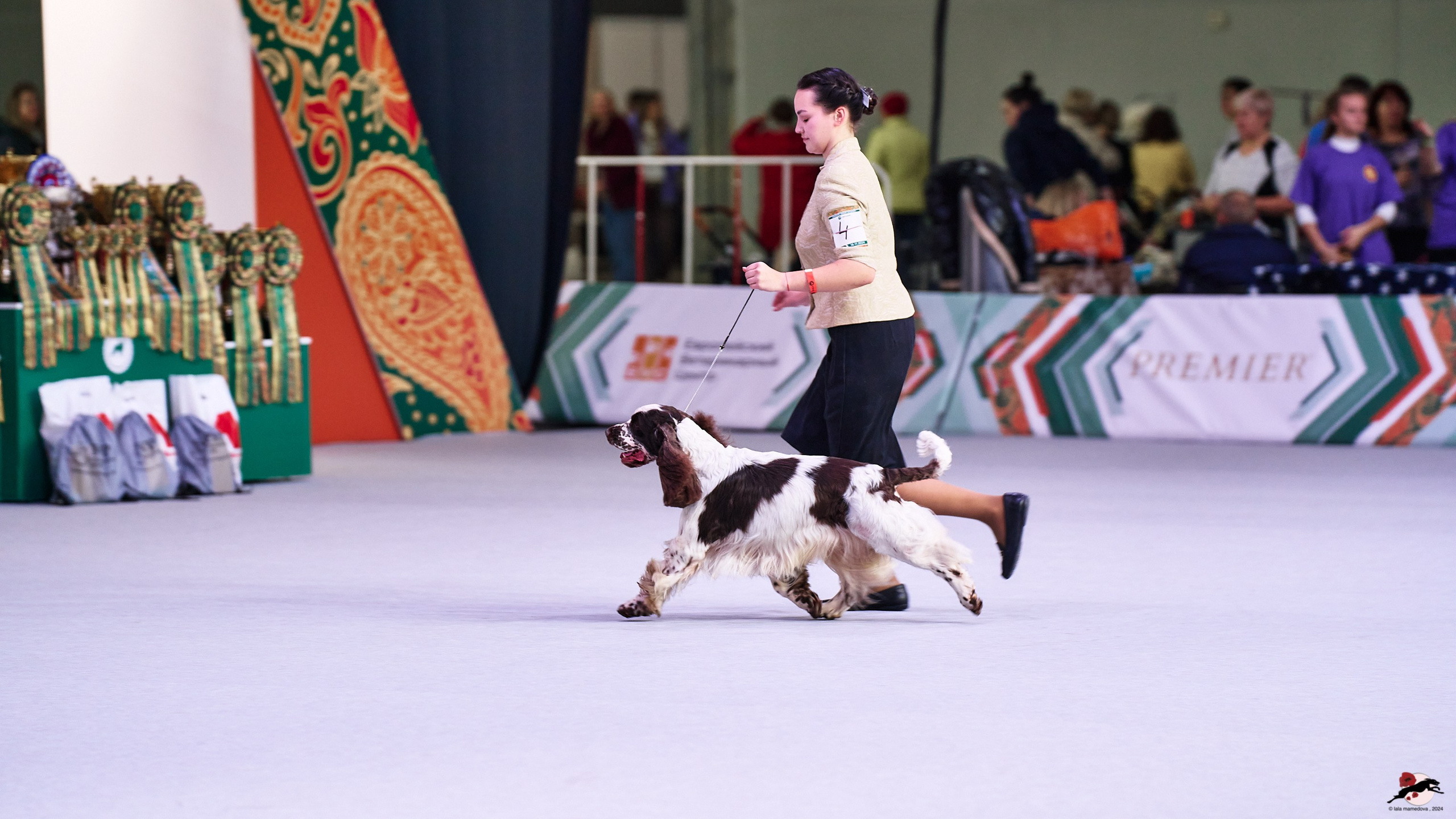16.11.2024 «ЕВРАЗИЯ. КУБОК ПРЕЗИДЕНТА РКФ 2024»