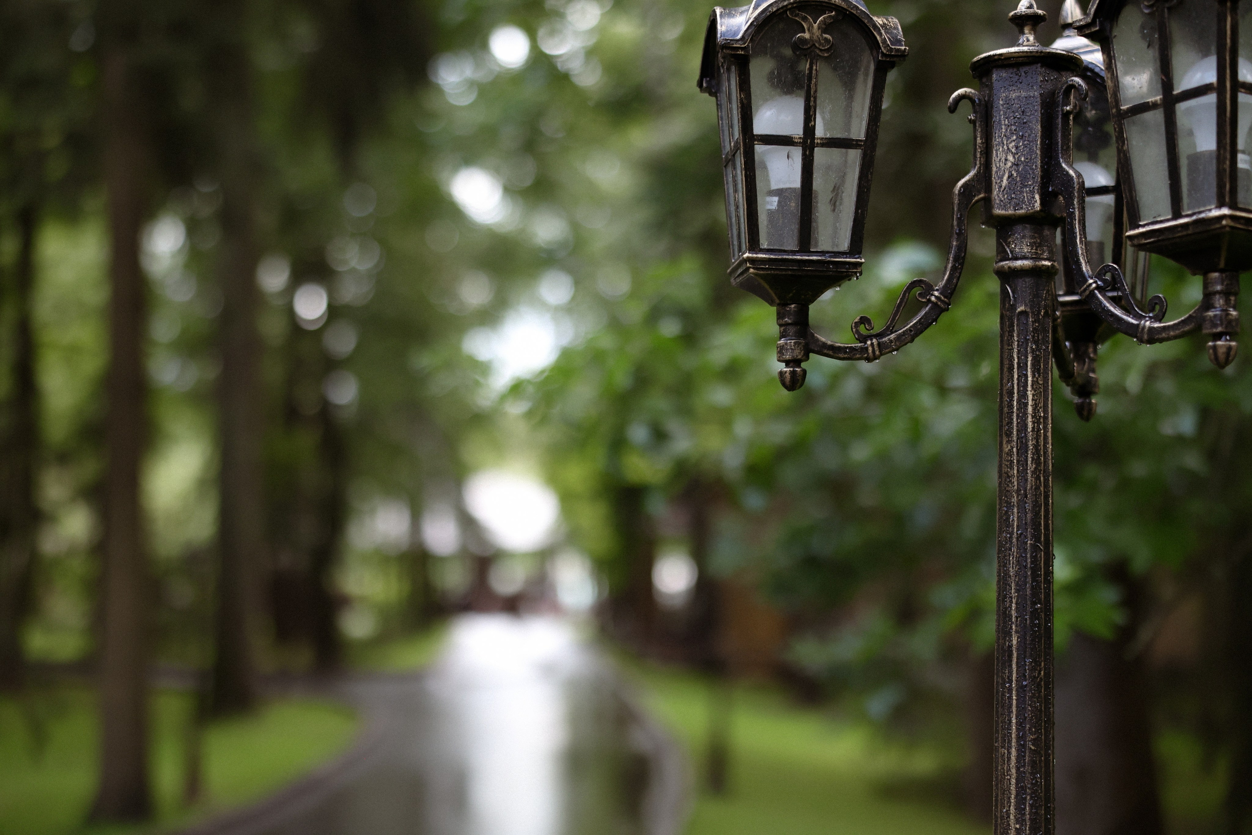 «Магия выставленного света» — Анна и Милан. Свадебный и семейный фотограф в Москве Ломова Ирина
