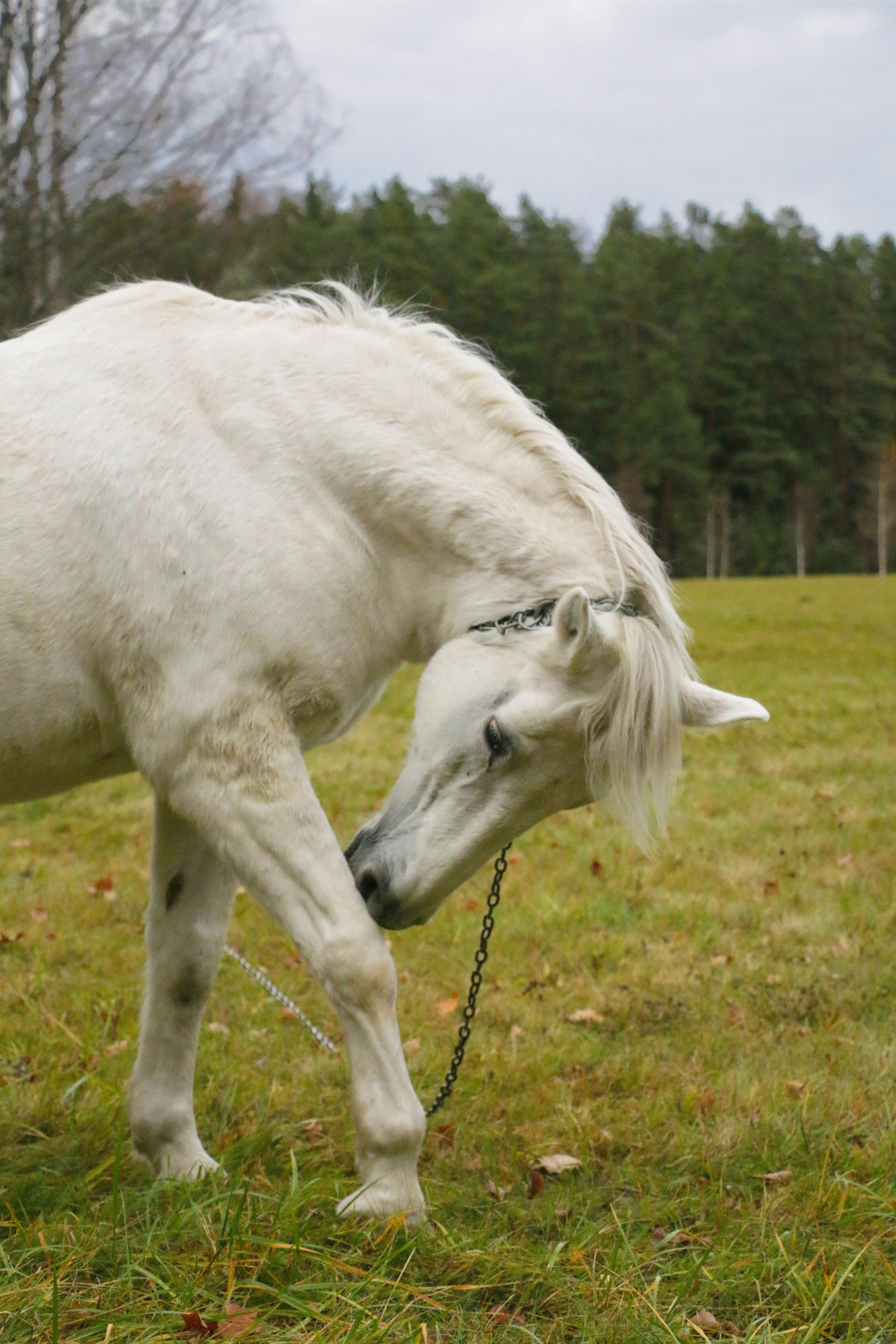 Пейзажи. Фотограф из Санкт-Петербурга — Виктория Горелкова