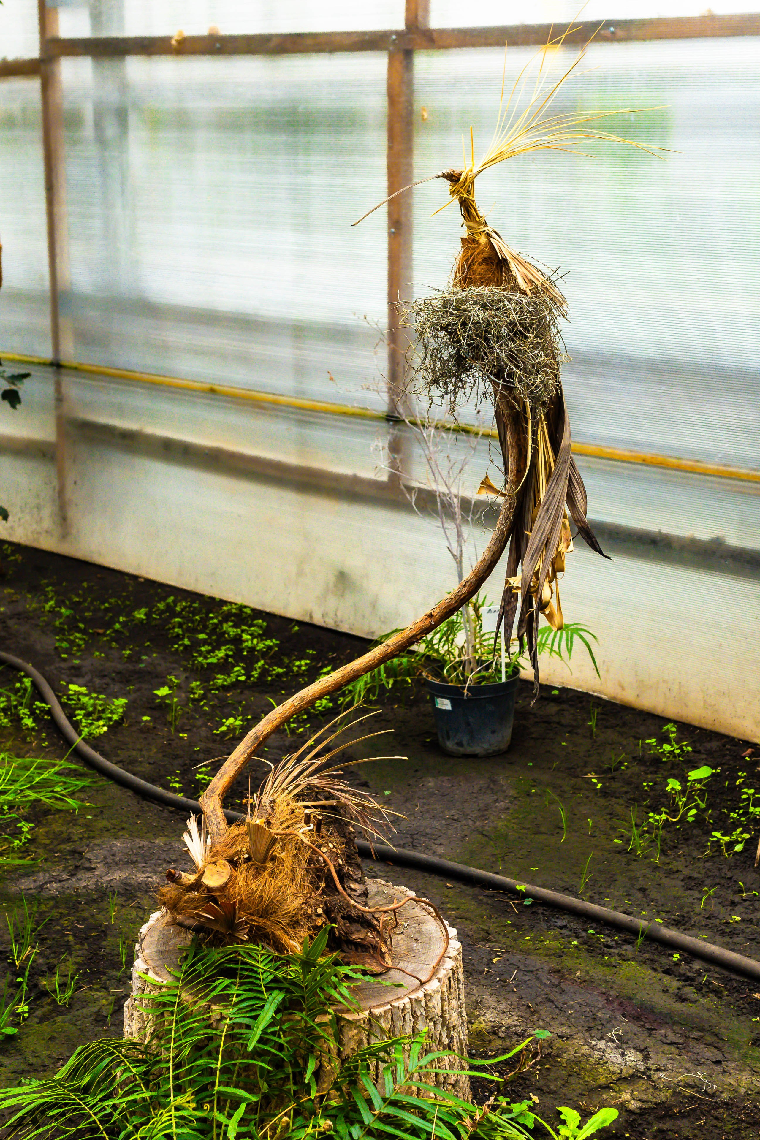 Фотографии природы Липецка. Свадебный и семейный фотограф Виолетта в Липецке