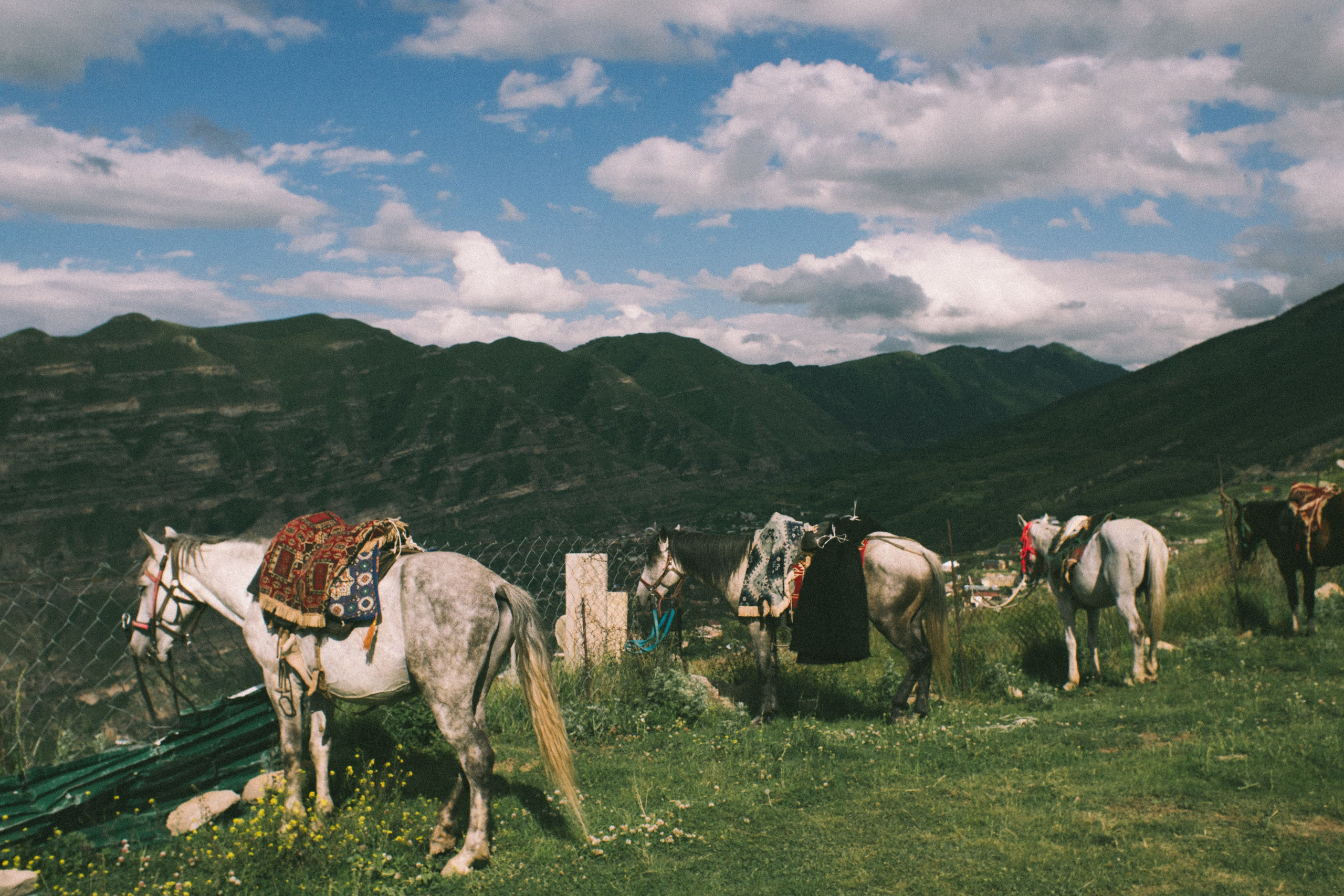 Фотографии из путешествий. NECULTURED PHOTOGRAPHER