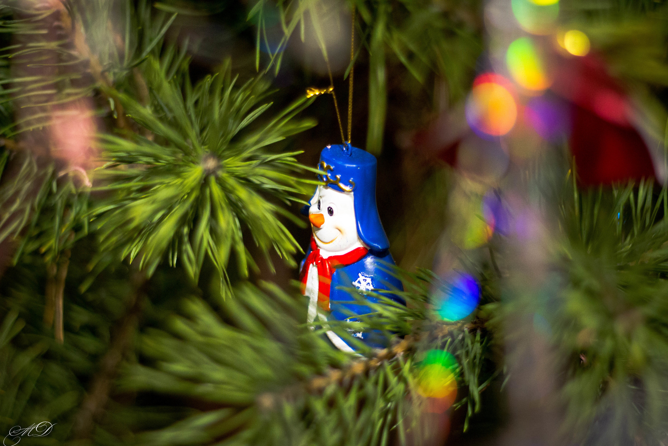 Михаил Дёгтев - фотограф