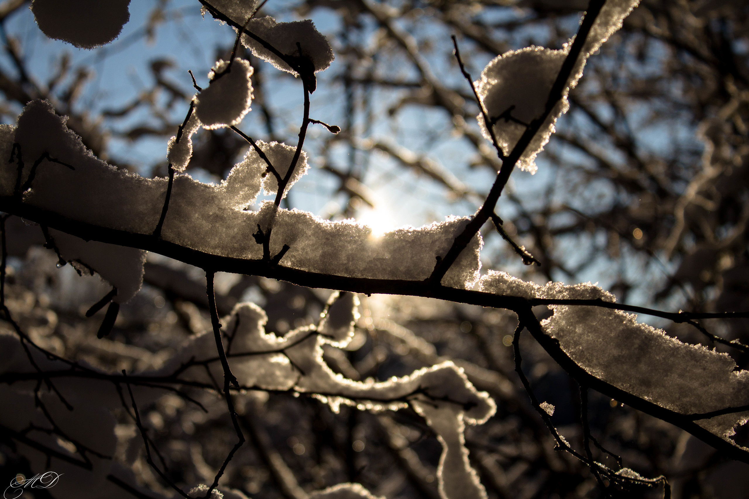 Михаил Дёгтев - фотограф