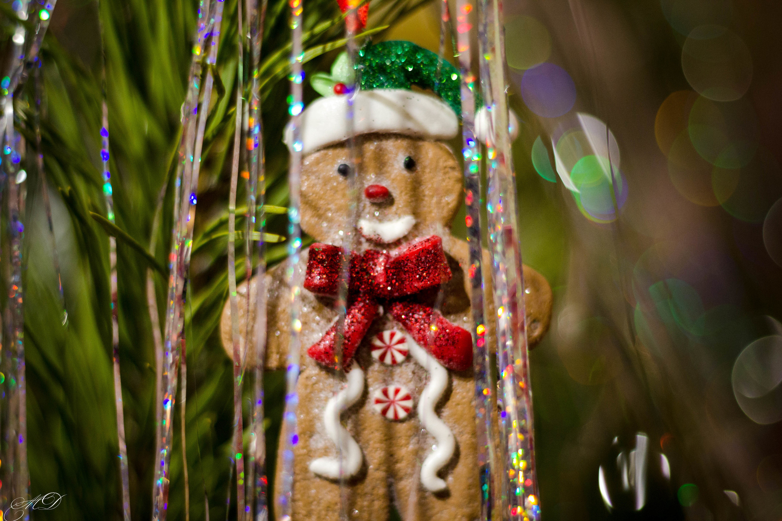 Михаил Дёгтев - фотограф