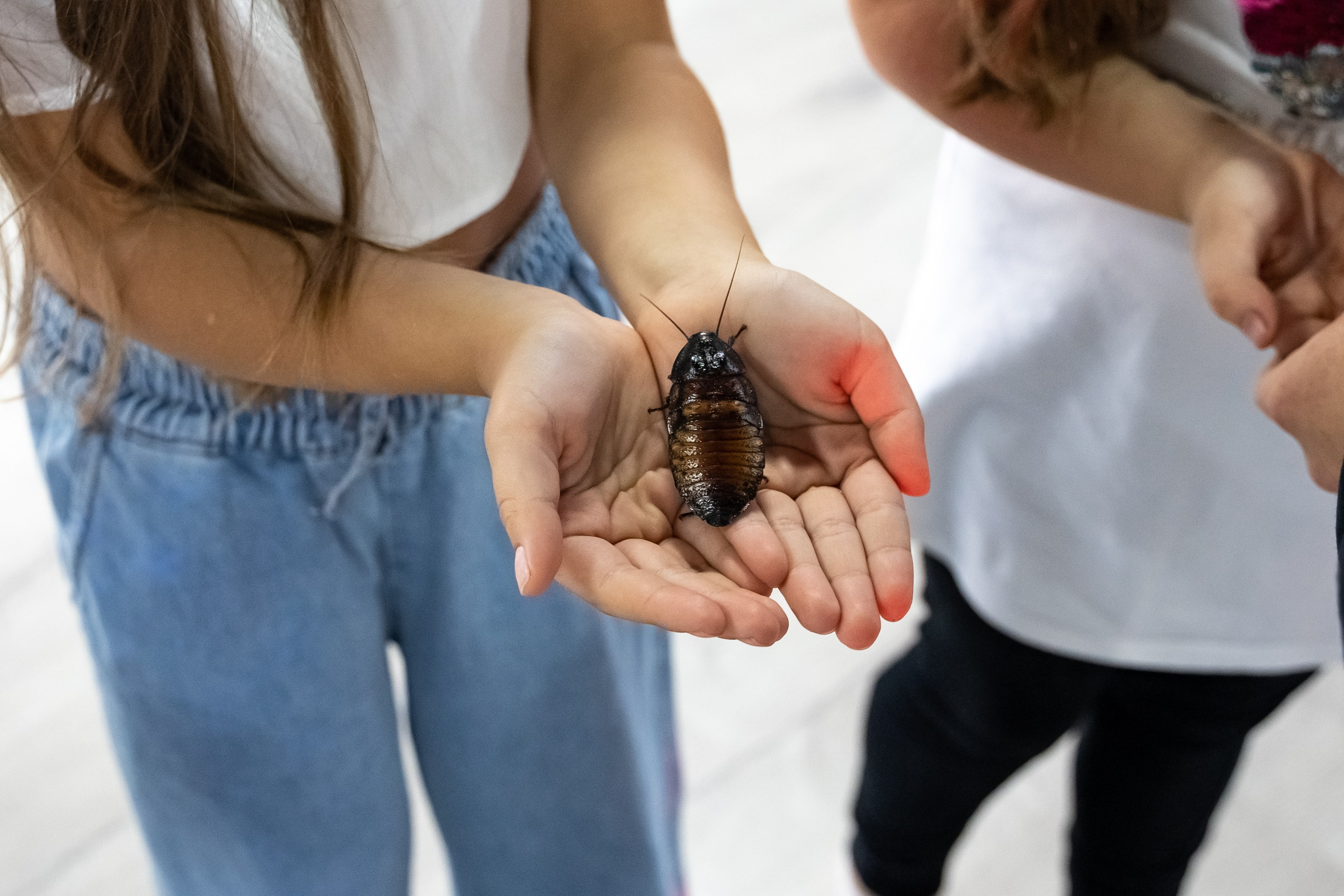 Tik Tok вечеринка. Фотограф в Одинцово, Москве