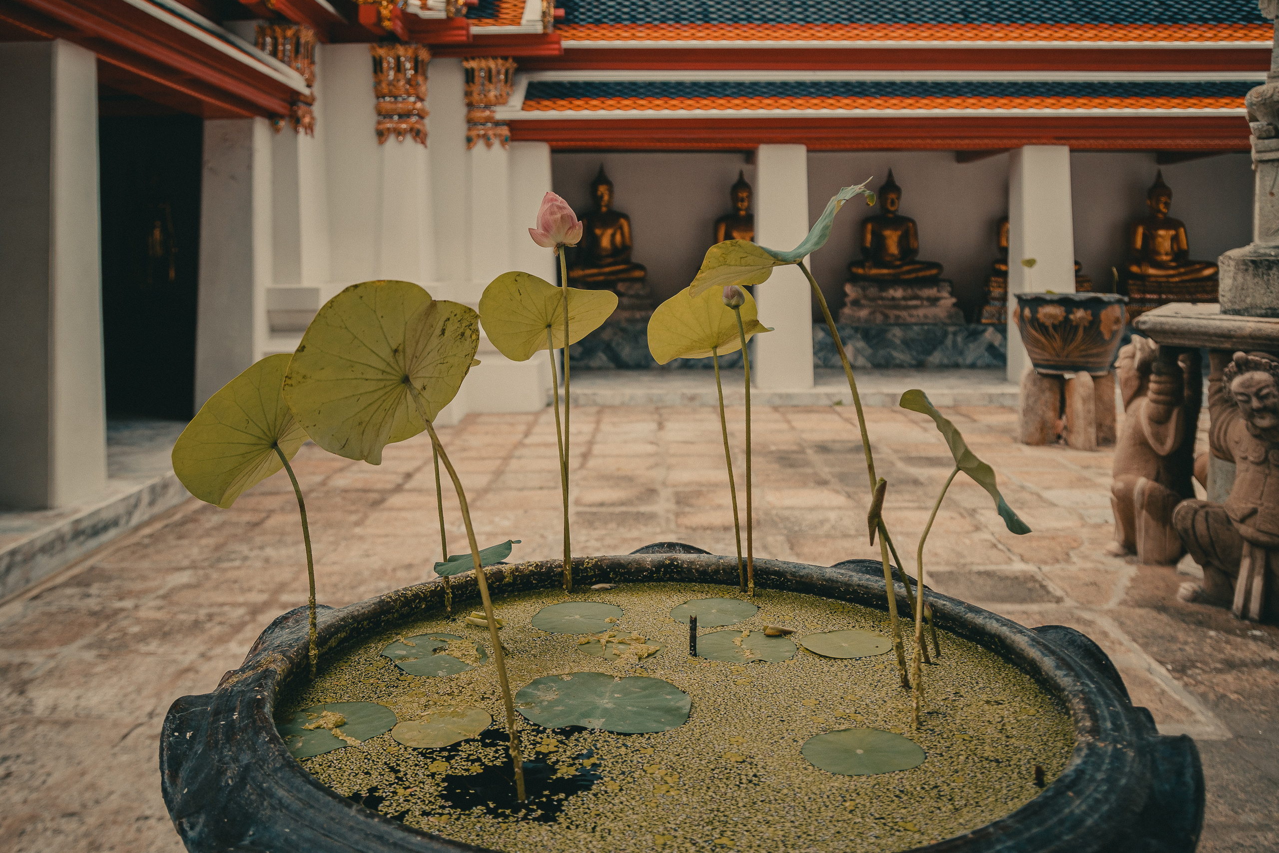 Таиланд. Фотошкола ArtFotoLife для начинающих и продвинутых фотографов