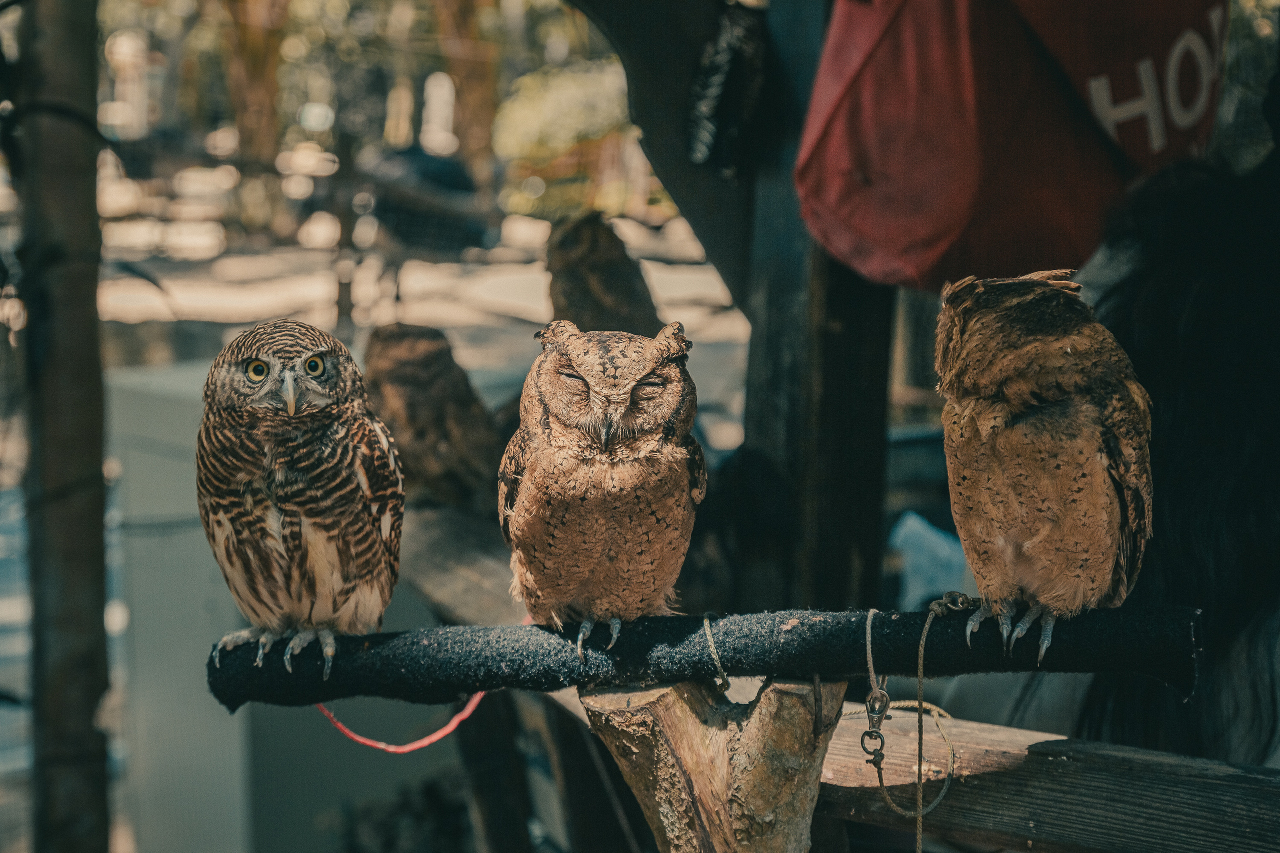 Таиланд. Фотошкола ArtFotoLife для начинающих и продвинутых фотографов