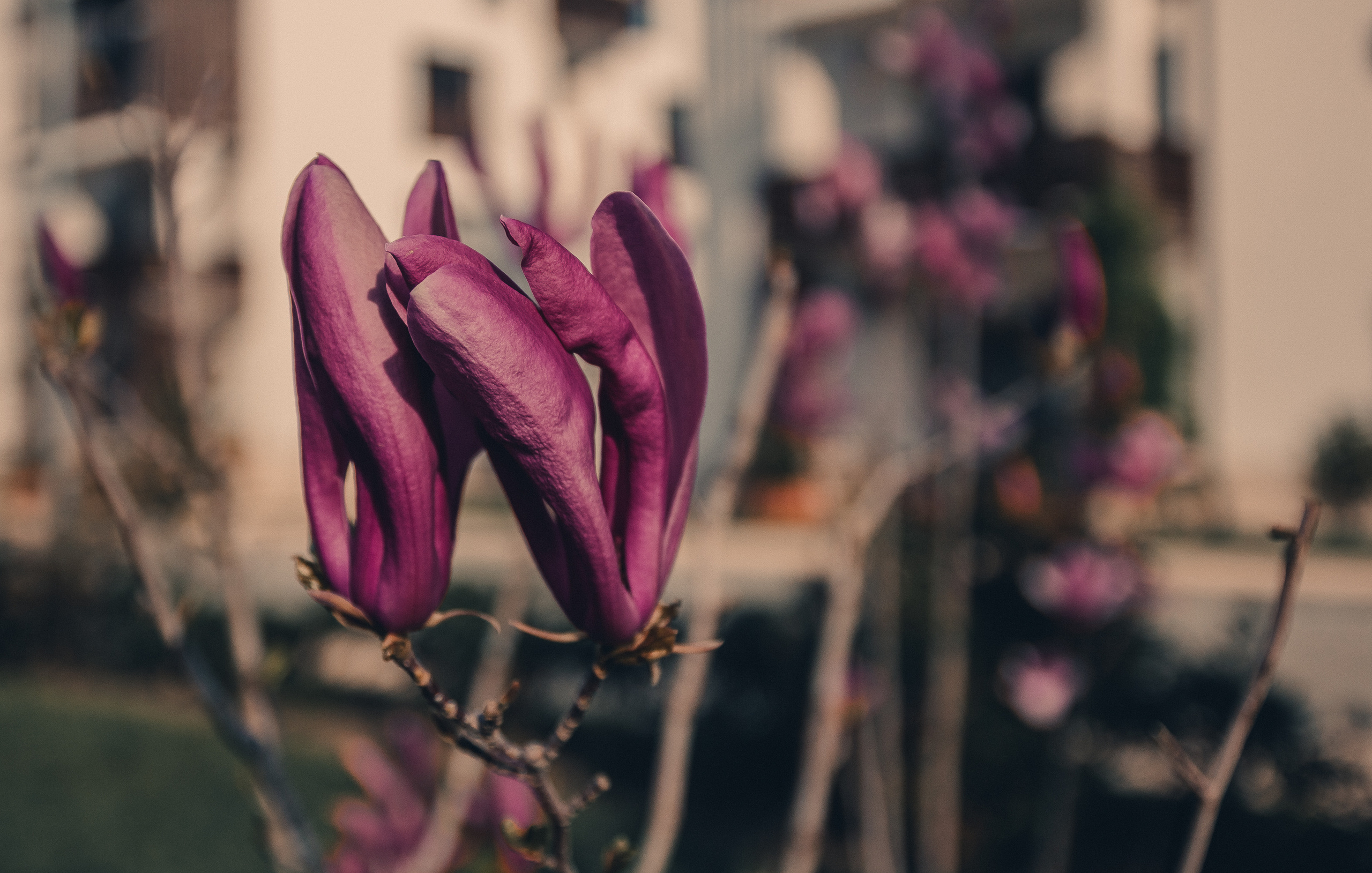 Сочи. Фотошкола ArtFotoLife для начинающих и продвинутых фотографов