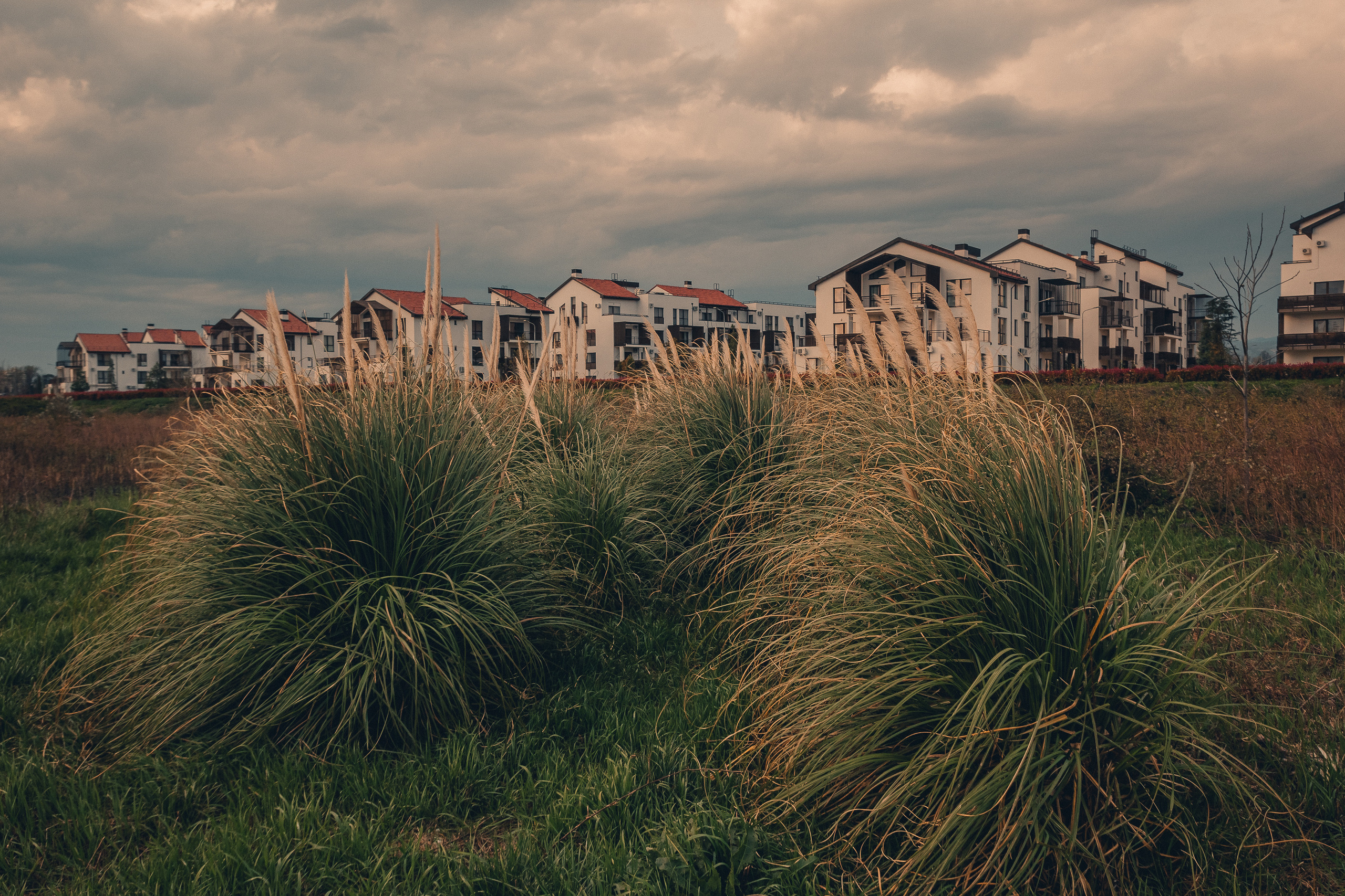 Сочи. Фотошкола ArtFotoLife для начинающих и продвинутых фотографов