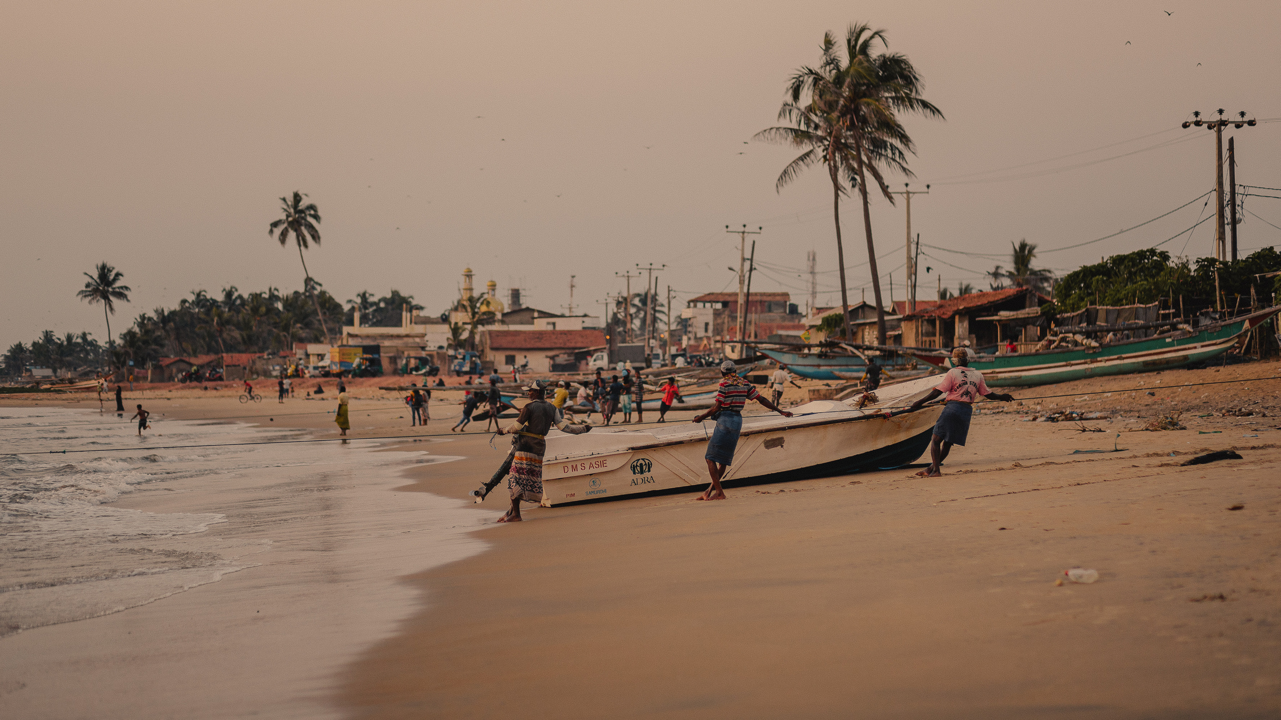 Шри-Ланка. Фотошкола ArtFotoLife для начинающих и продвинутых фотографов