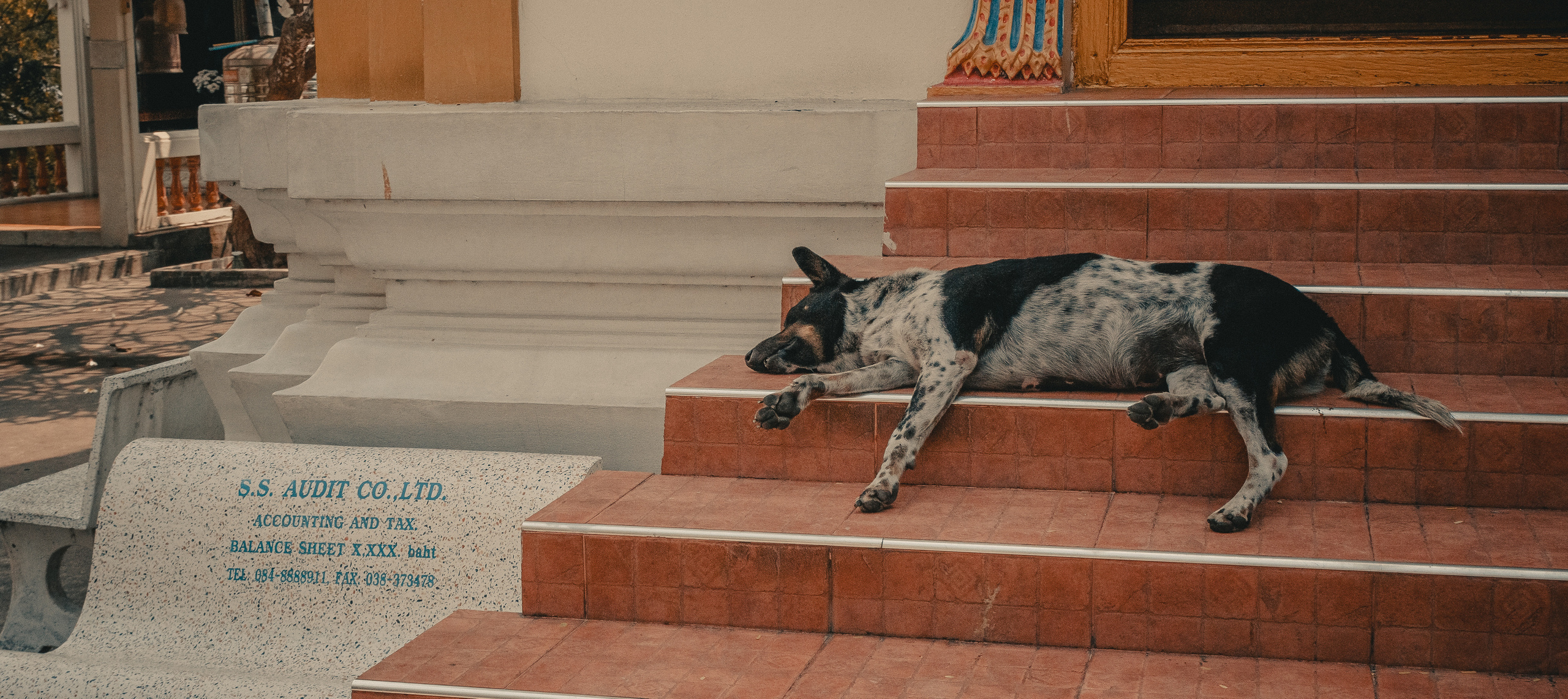 Таиланд. Фотошкола ArtFotoLife для начинающих и продвинутых фотографов