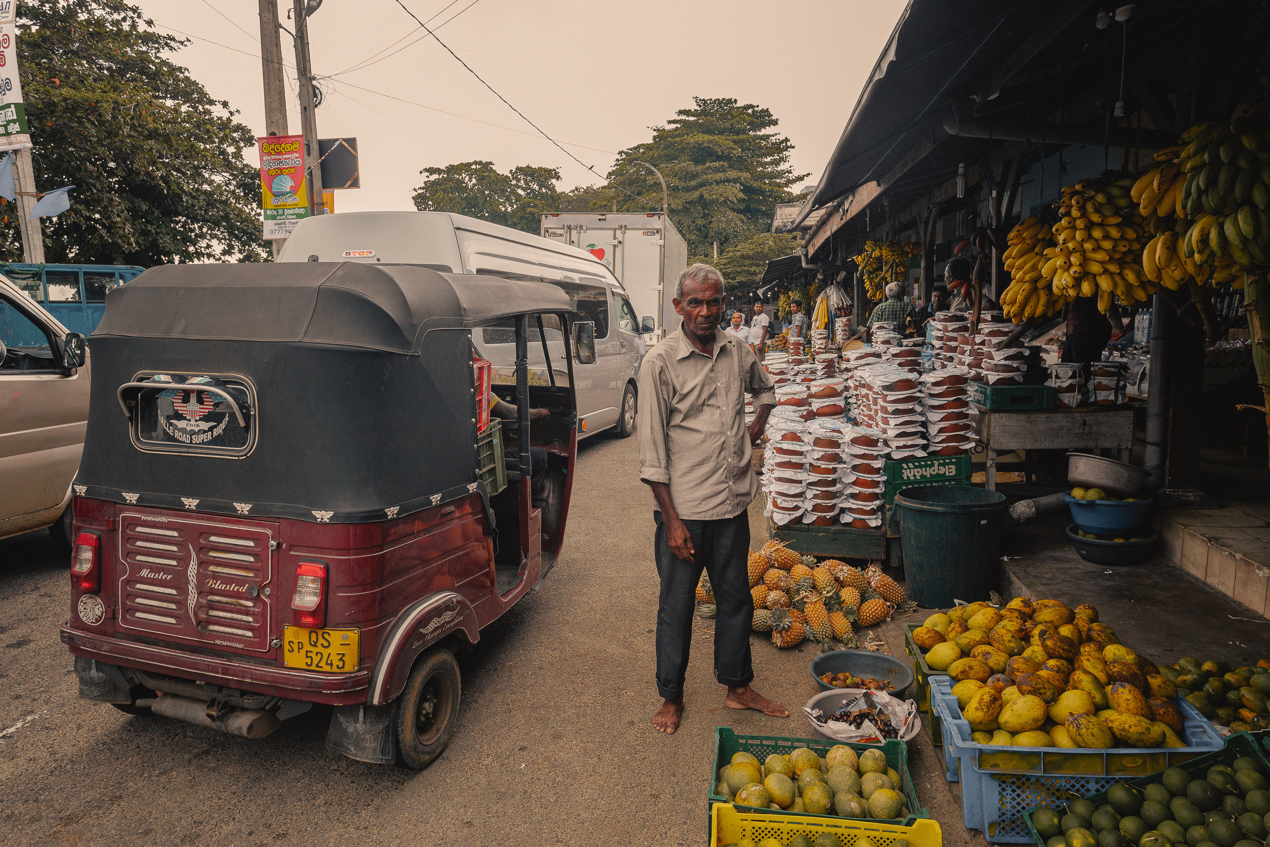 Шри-Ланка. Фотошкола ArtFotoLife для начинающих и продвинутых фотографов