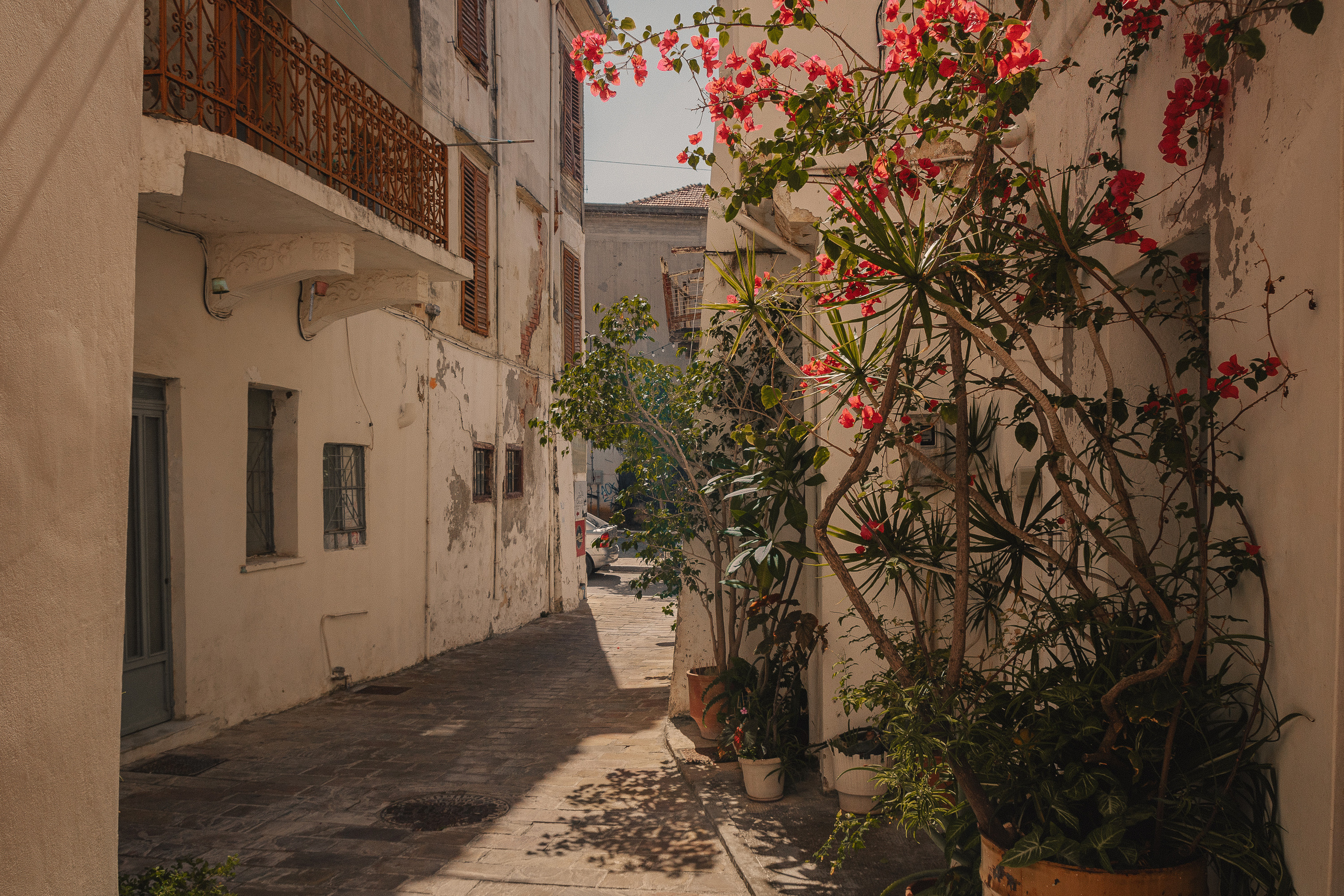 Греция, о. Крит. Фотошкола ArtFotoLife для начинающих и продвинутых фотографов