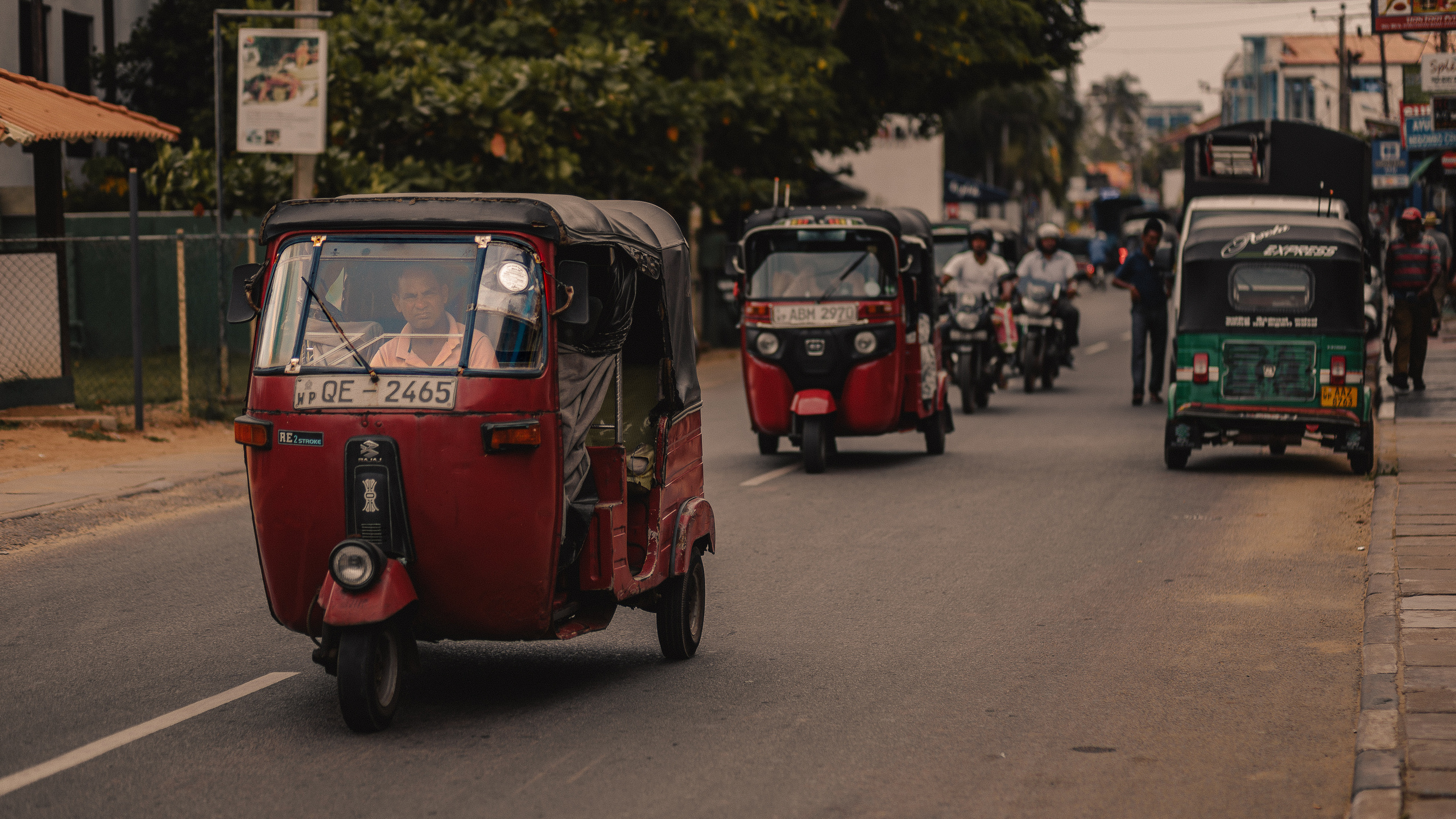 Шри-Ланка. Фотошкола ArtFotoLife для начинающих и продвинутых фотографов