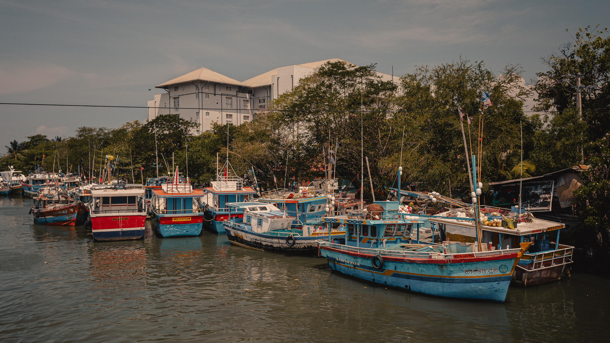 Шри-Ланка. Фотошкола ArtFotoLife для начинающих и продвинутых фотографов