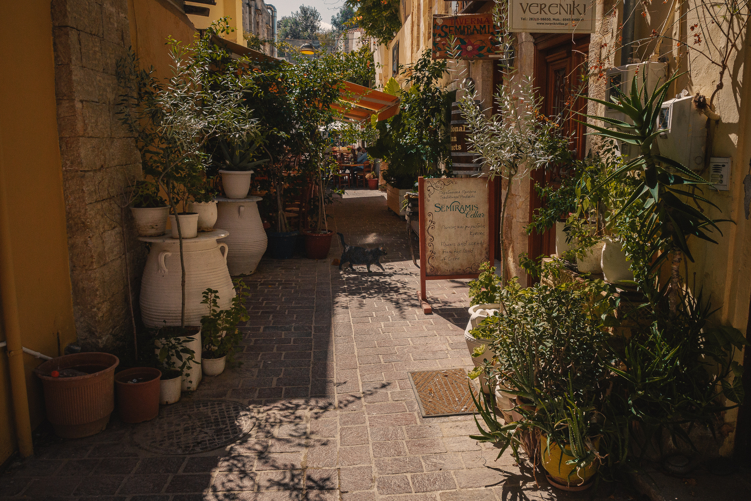 Греция, о. Крит. Фотошкола ArtFotoLife для начинающих и продвинутых фотографов