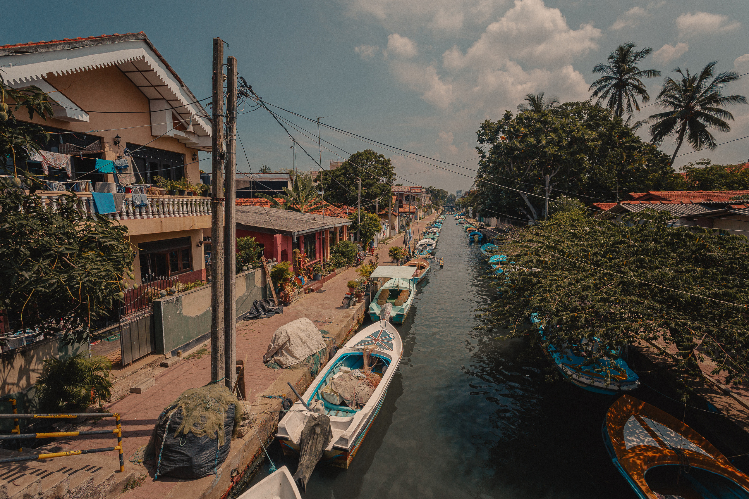 Шри-Ланка. Фотошкола ArtFotoLife для начинающих и продвинутых фотографов