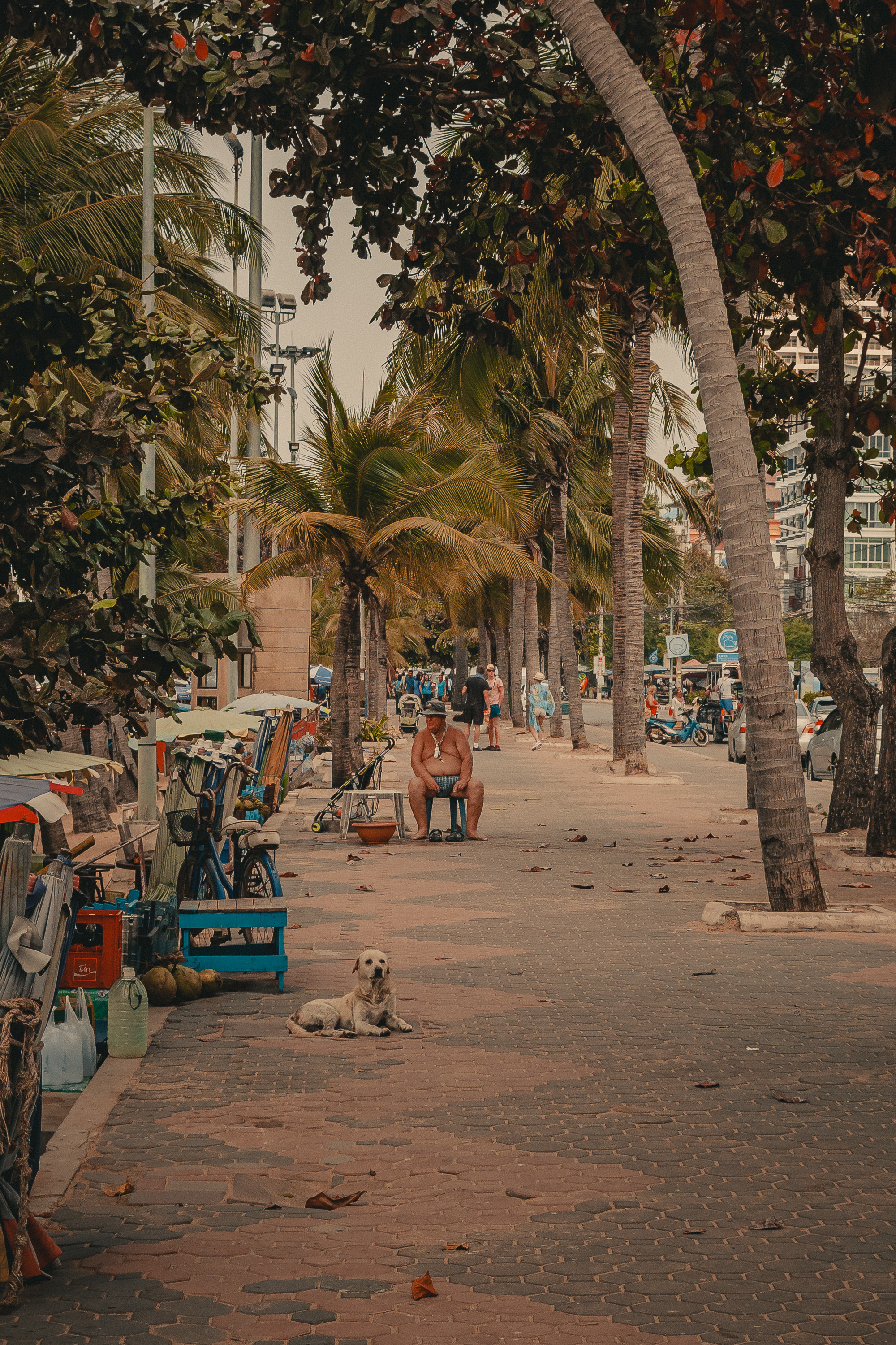 Таиланд. Фотошкола ArtFotoLife для начинающих и продвинутых фотографов