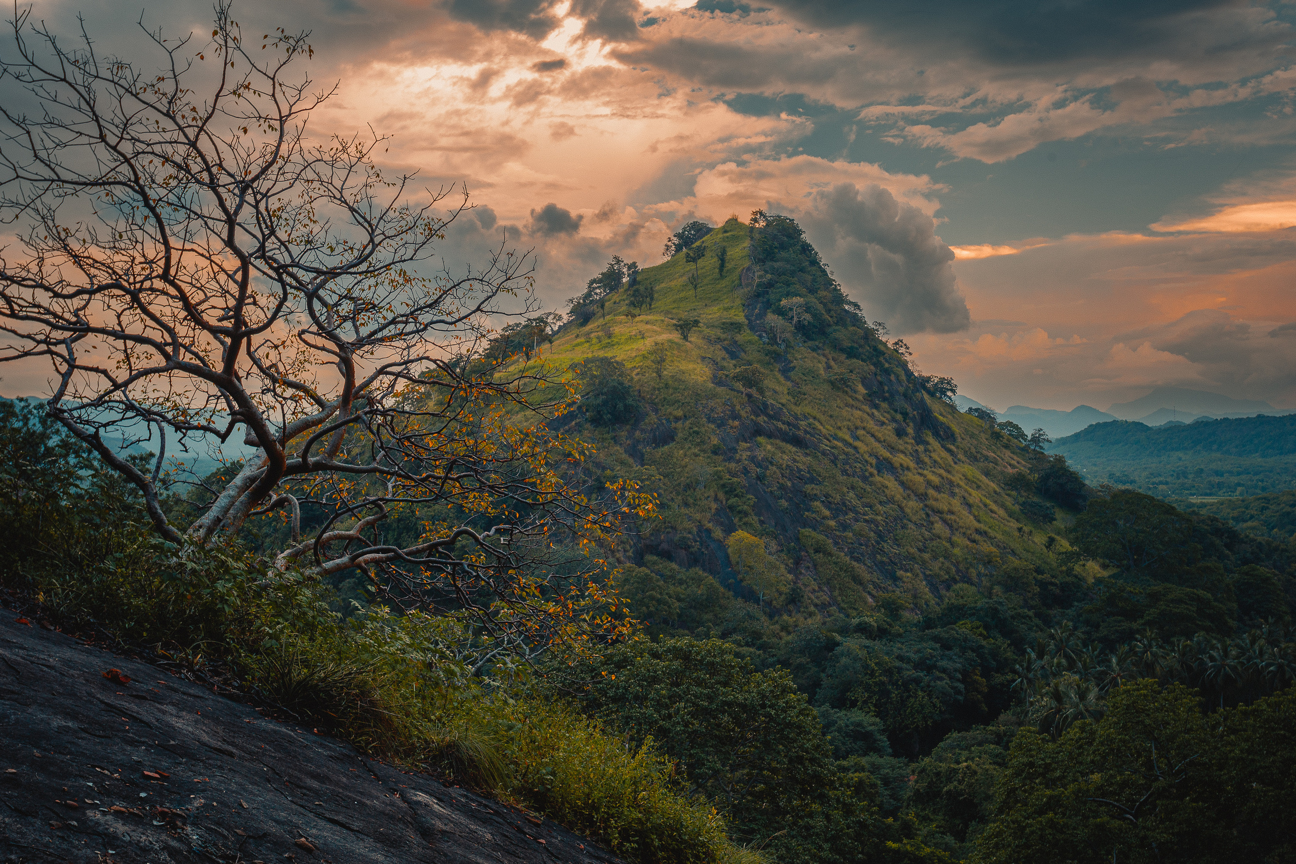 Шри-Ланка. Фотошкола ArtFotoLife для начинающих и продвинутых фотографов