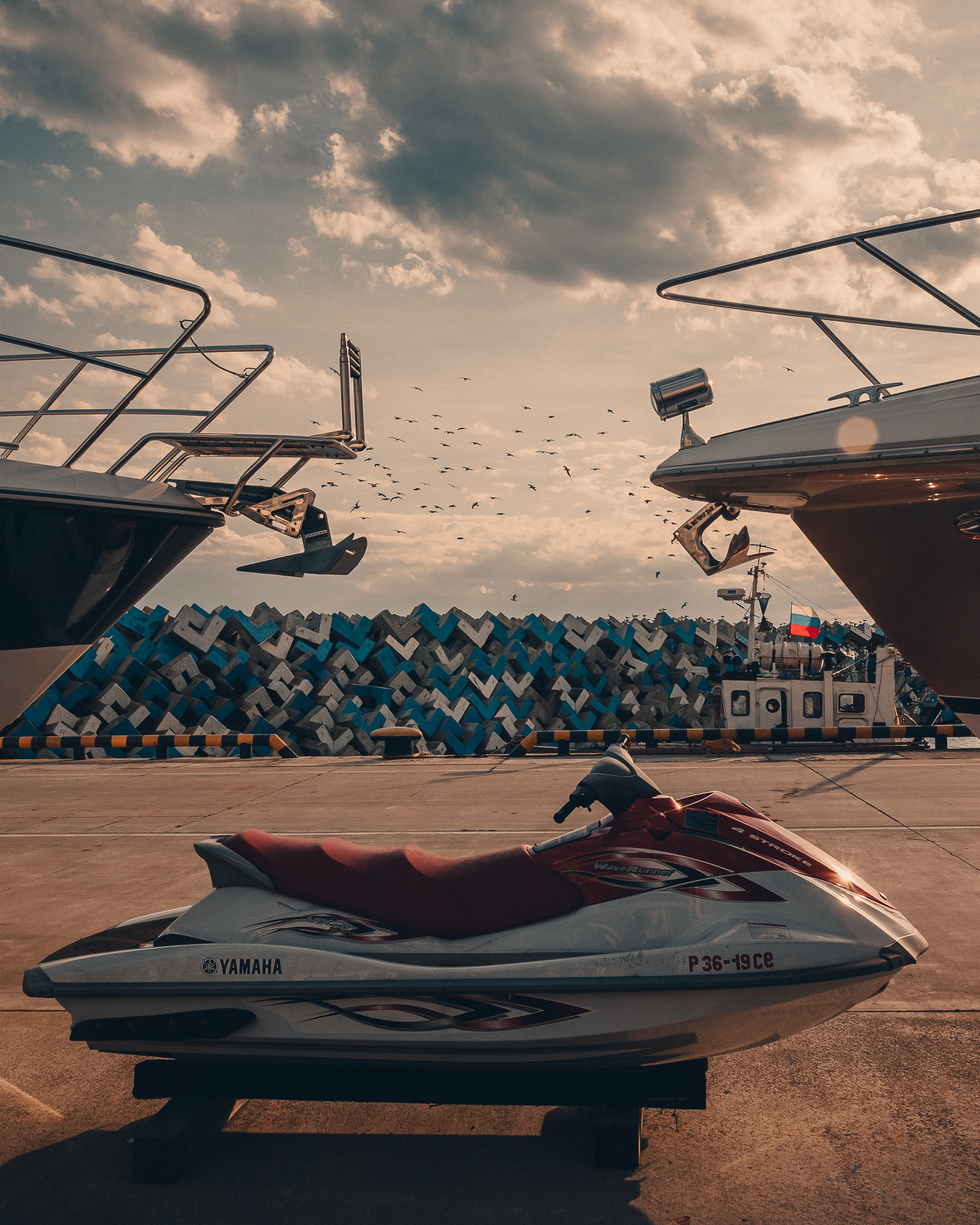 Сочи. Фотошкола ArtFotoLife для начинающих и продвинутых фотографов