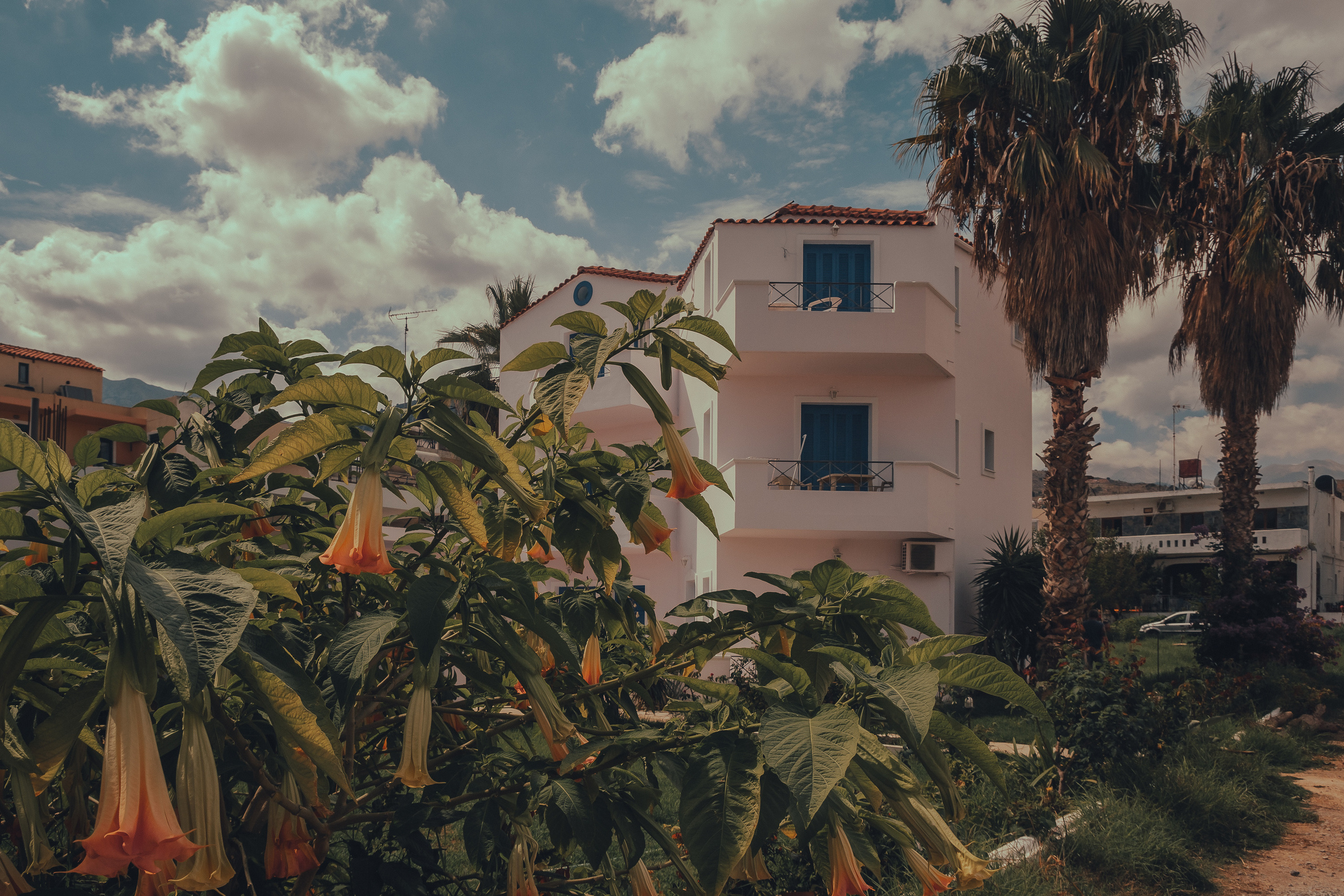 Греция, о. Крит. Фотошкола ArtFotoLife для начинающих и продвинутых фотографов