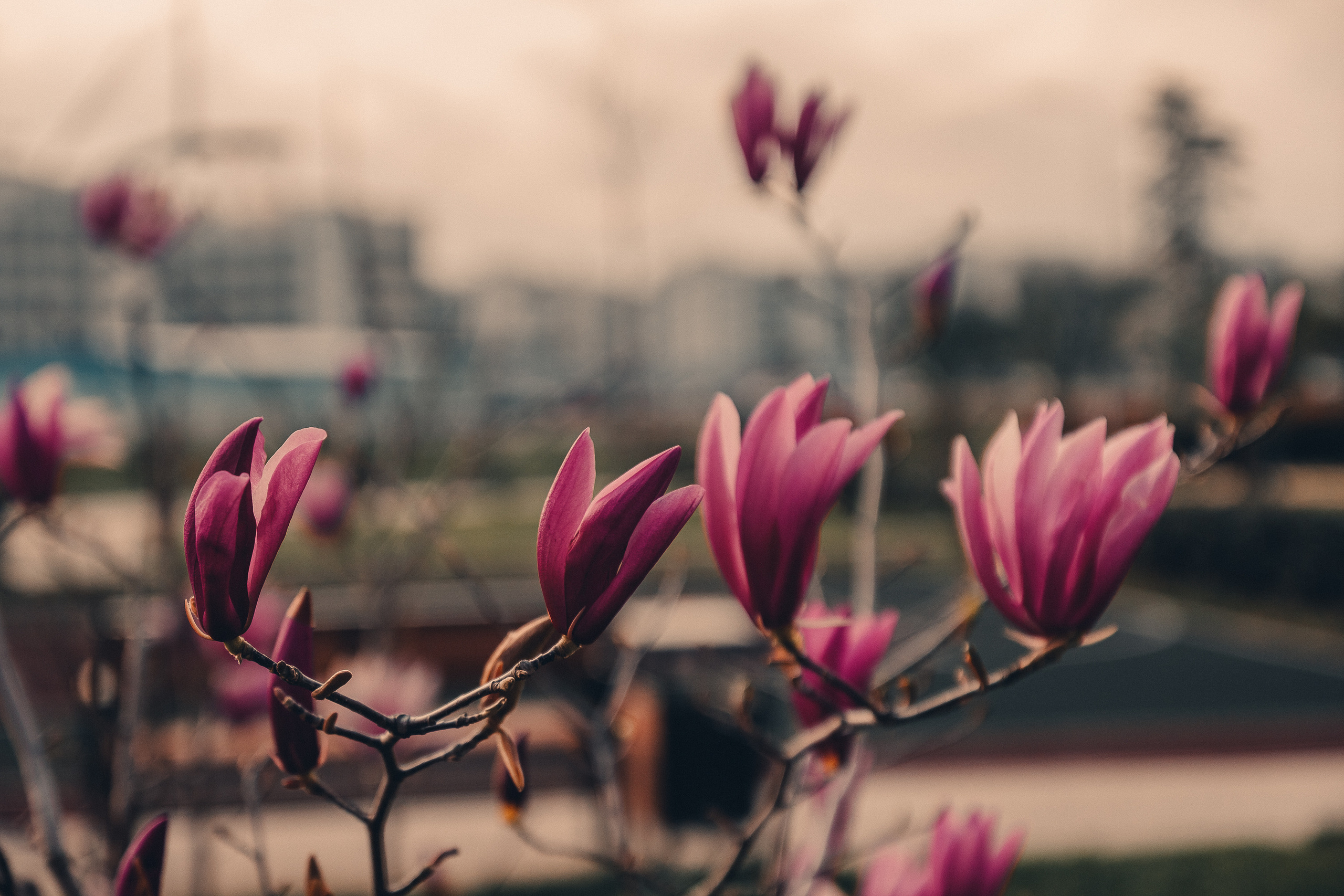 Сочи. Фотошкола ArtFotoLife для начинающих и продвинутых фотографов