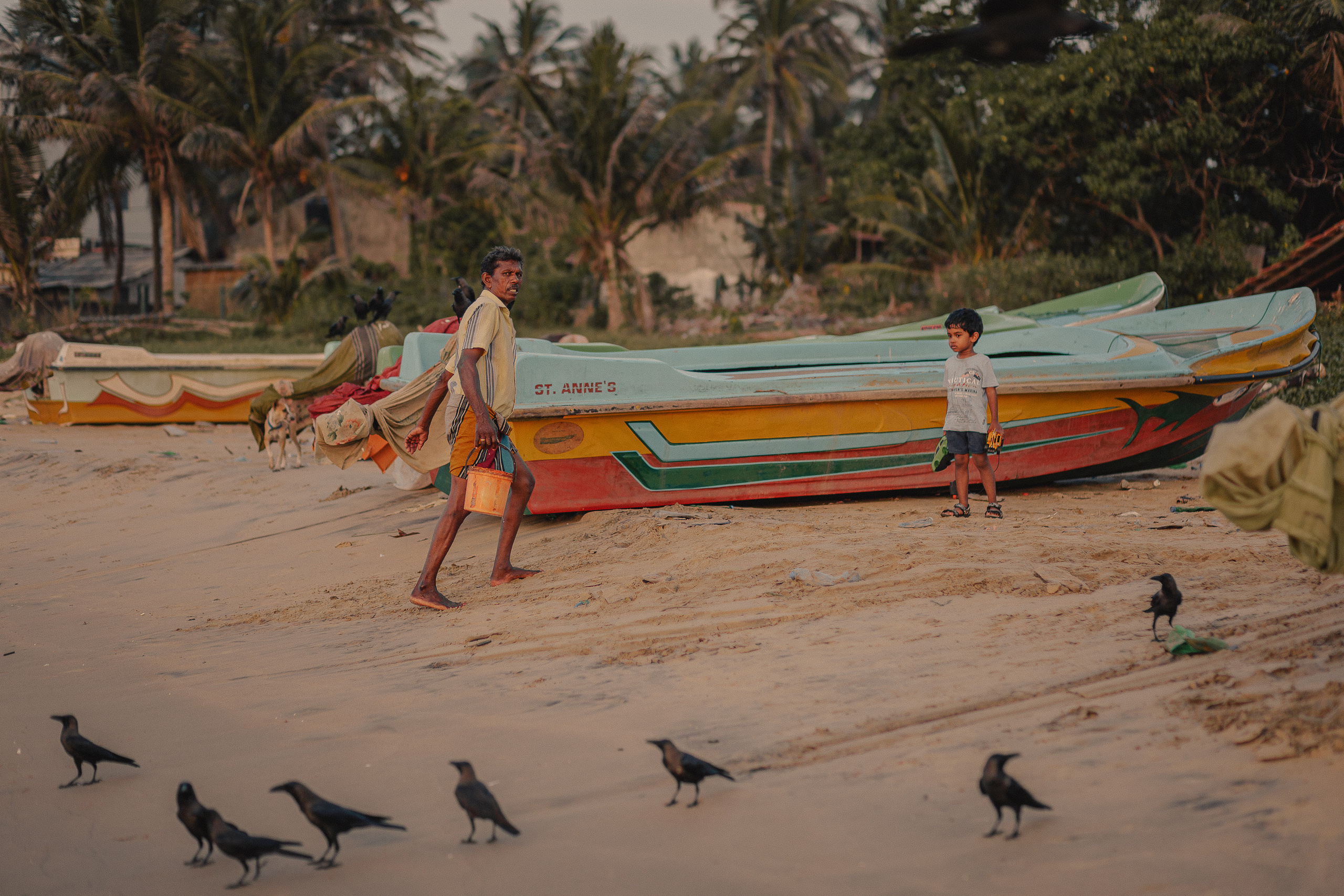 Шри-Ланка. Фотошкола ArtFotoLife для начинающих и продвинутых фотографов