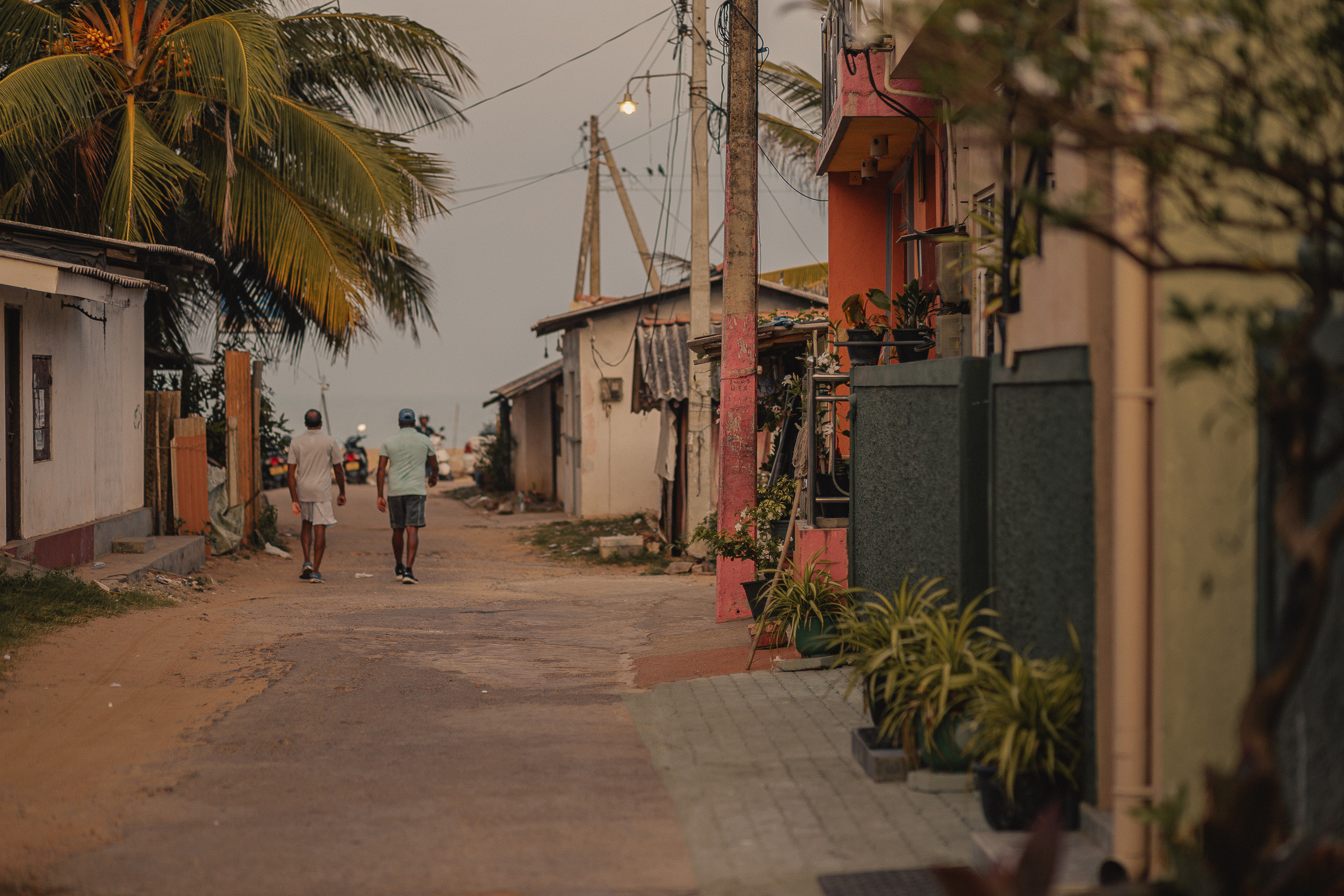 Шри-Ланка. Фотошкола ArtFotoLife для начинающих и продвинутых фотографов