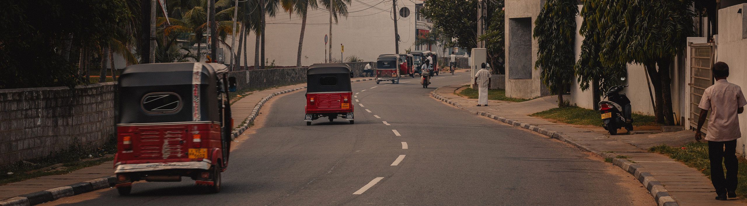 Шри-Ланка. Фотошкола ArtFotoLife для начинающих и продвинутых фотографов