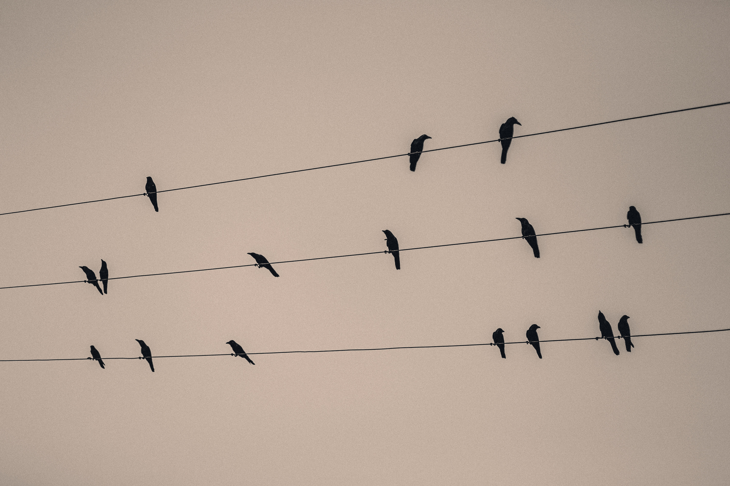 Шри-Ланка. Фотошкола ArtFotoLife для начинающих и продвинутых фотографов