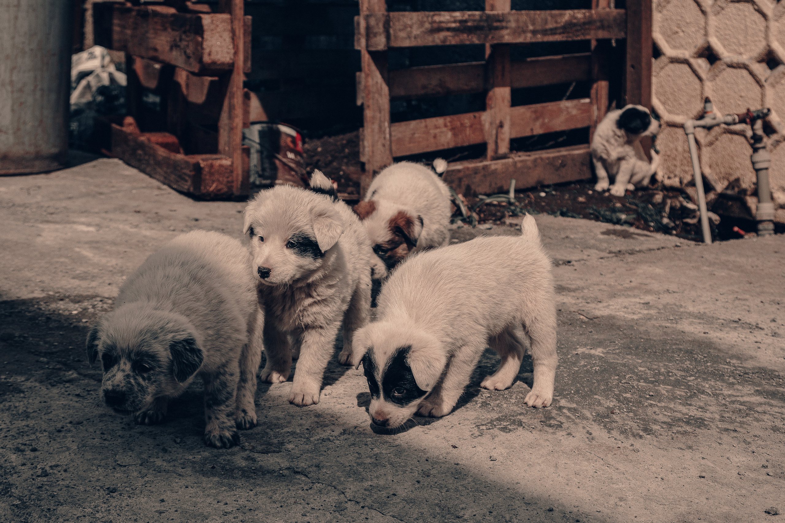 Абхазия. Фотошкола ArtFotoLife для начинающих и продвинутых фотографов