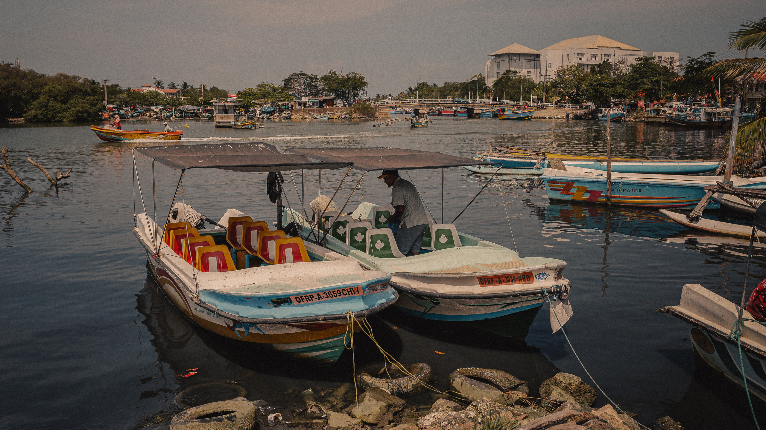 Шри-Ланка. Фотошкола ArtFotoLife для начинающих и продвинутых фотографов