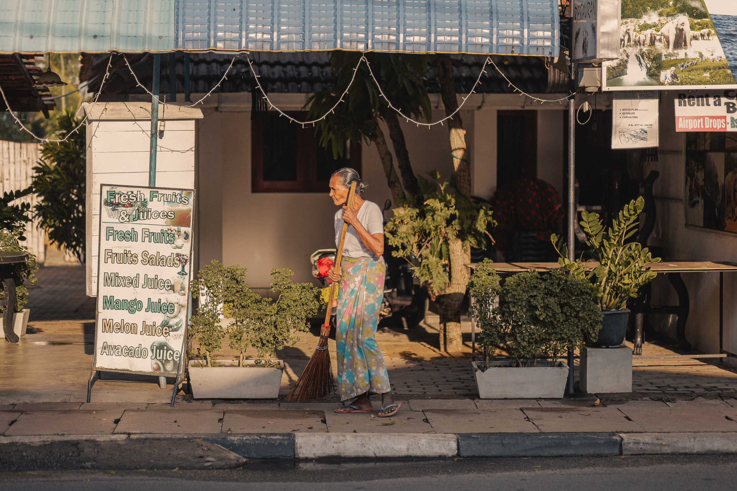 Шри-Ланка. Фотошкола ArtFotoLife для начинающих и продвинутых фотографов