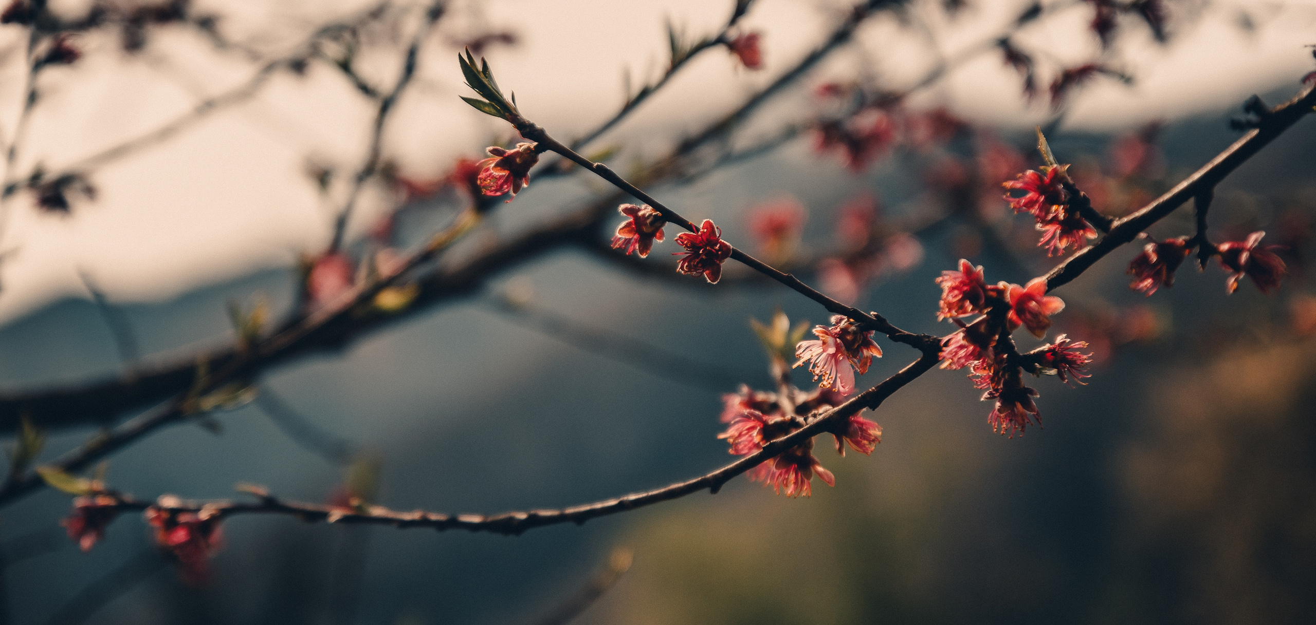 Абхазия. Фотошкола ArtFotoLife для начинающих и продвинутых фотографов