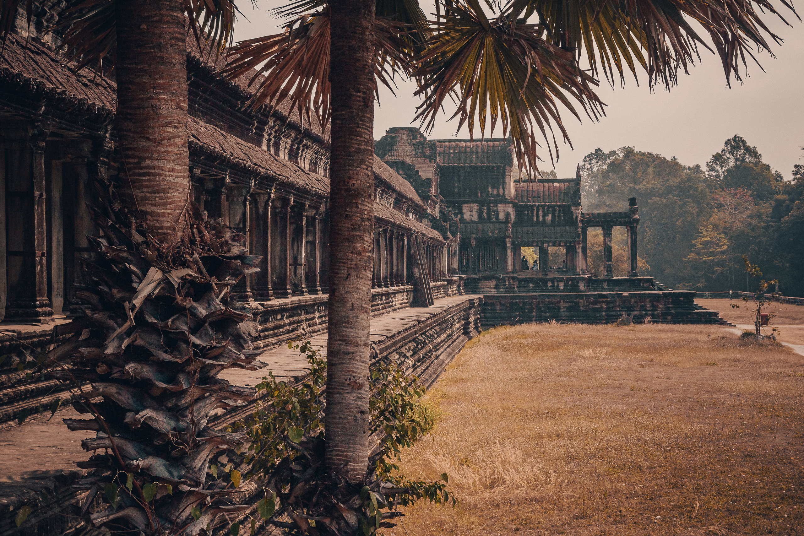 Камбоджа. Фотошкола ArtFotoLife для начинающих и продвинутых фотографов