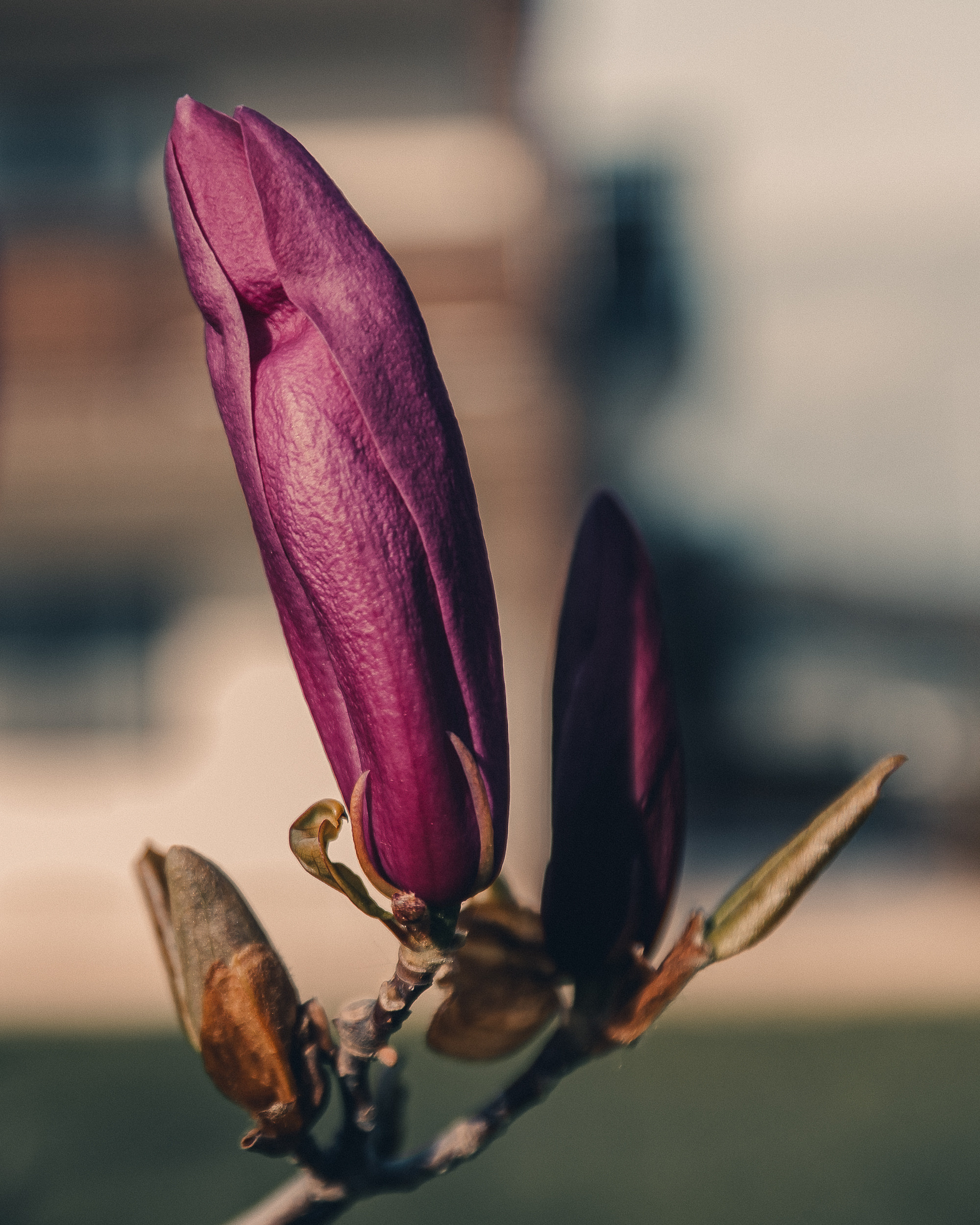 Сочи. Фотошкола ArtFotoLife для начинающих и продвинутых фотографов