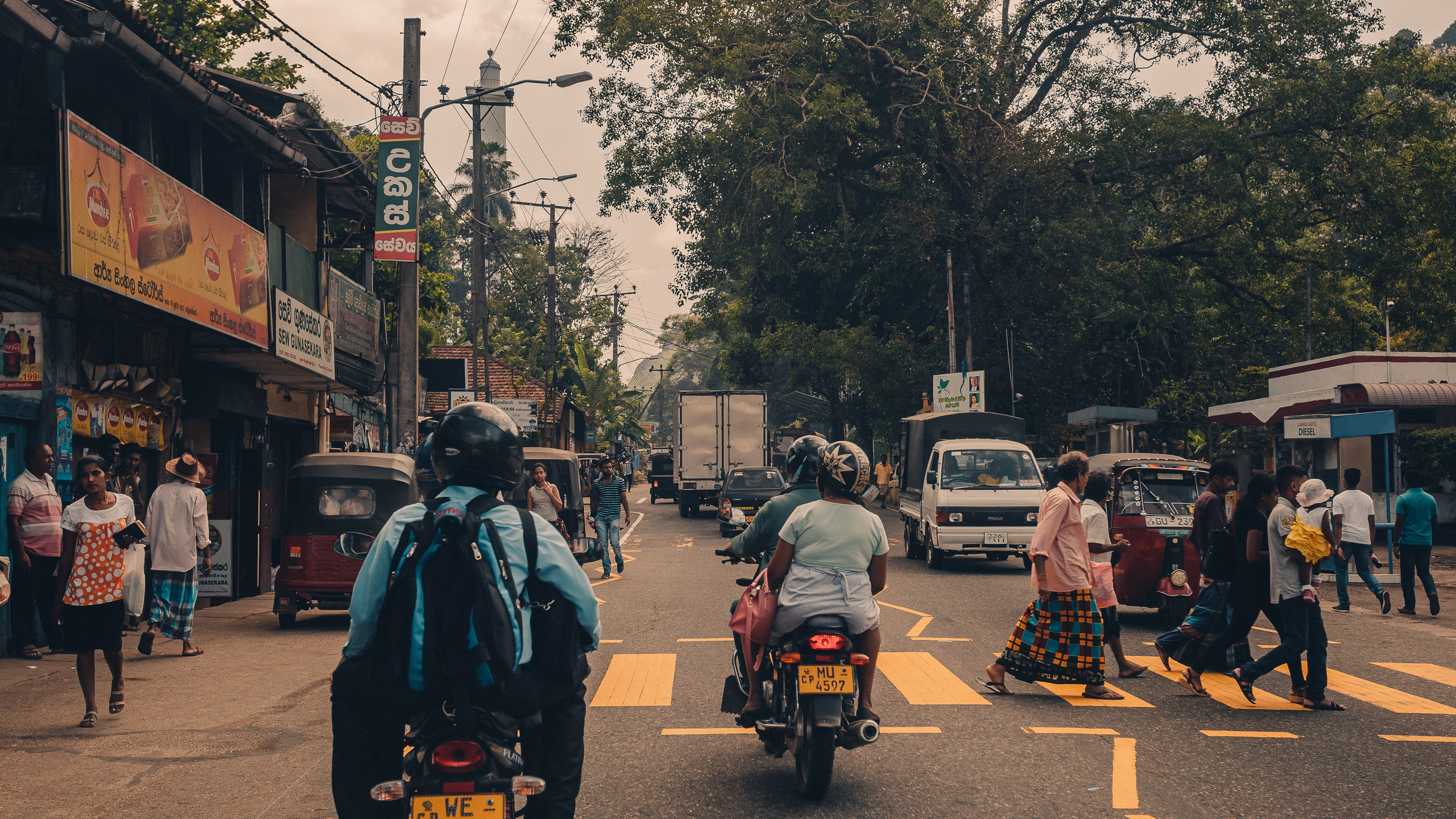 Шри-Ланка. Фотошкола ArtFotoLife для начинающих и продвинутых фотографов