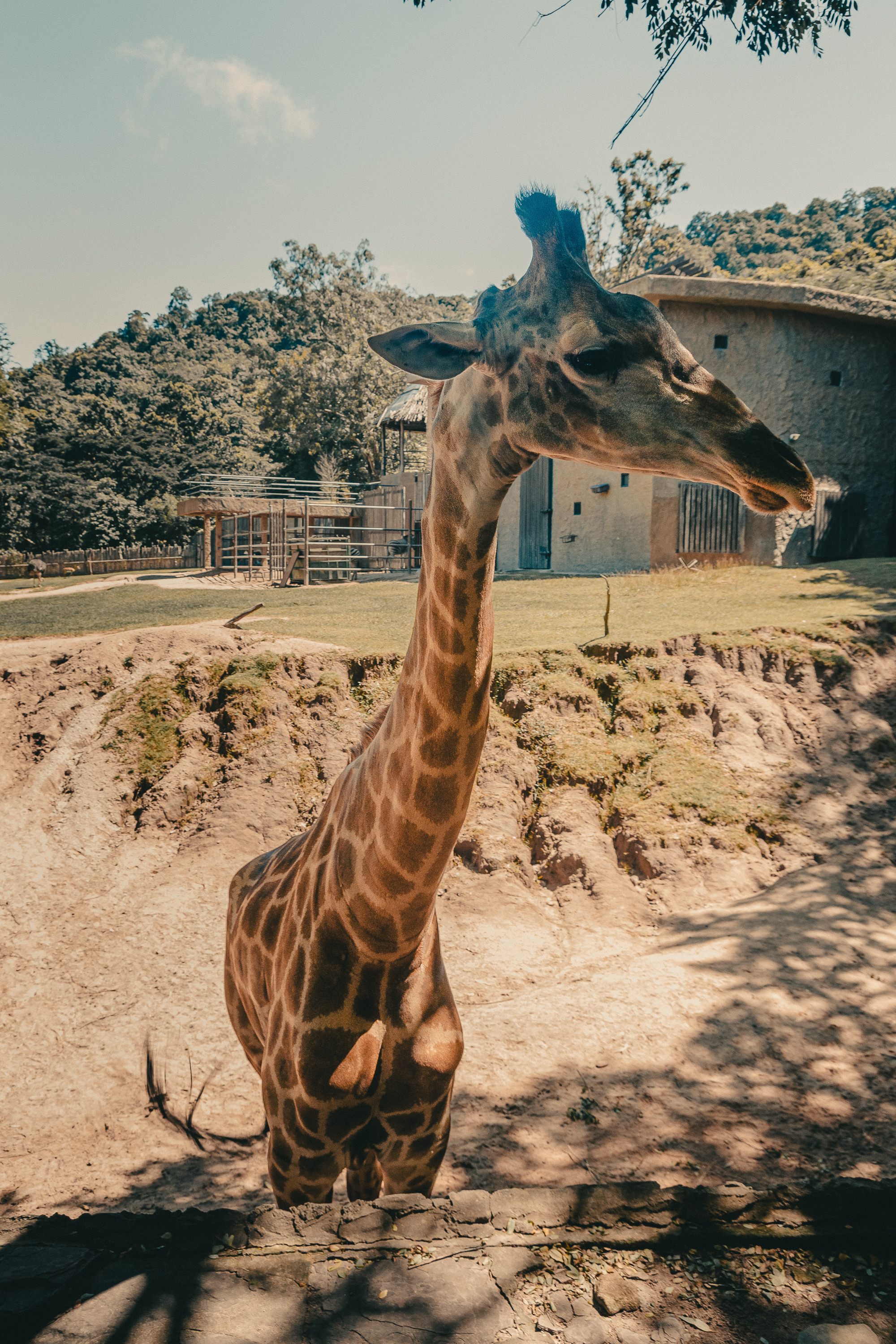 Таиланд. Фотошкола ArtFotoLife для начинающих и продвинутых фотографов