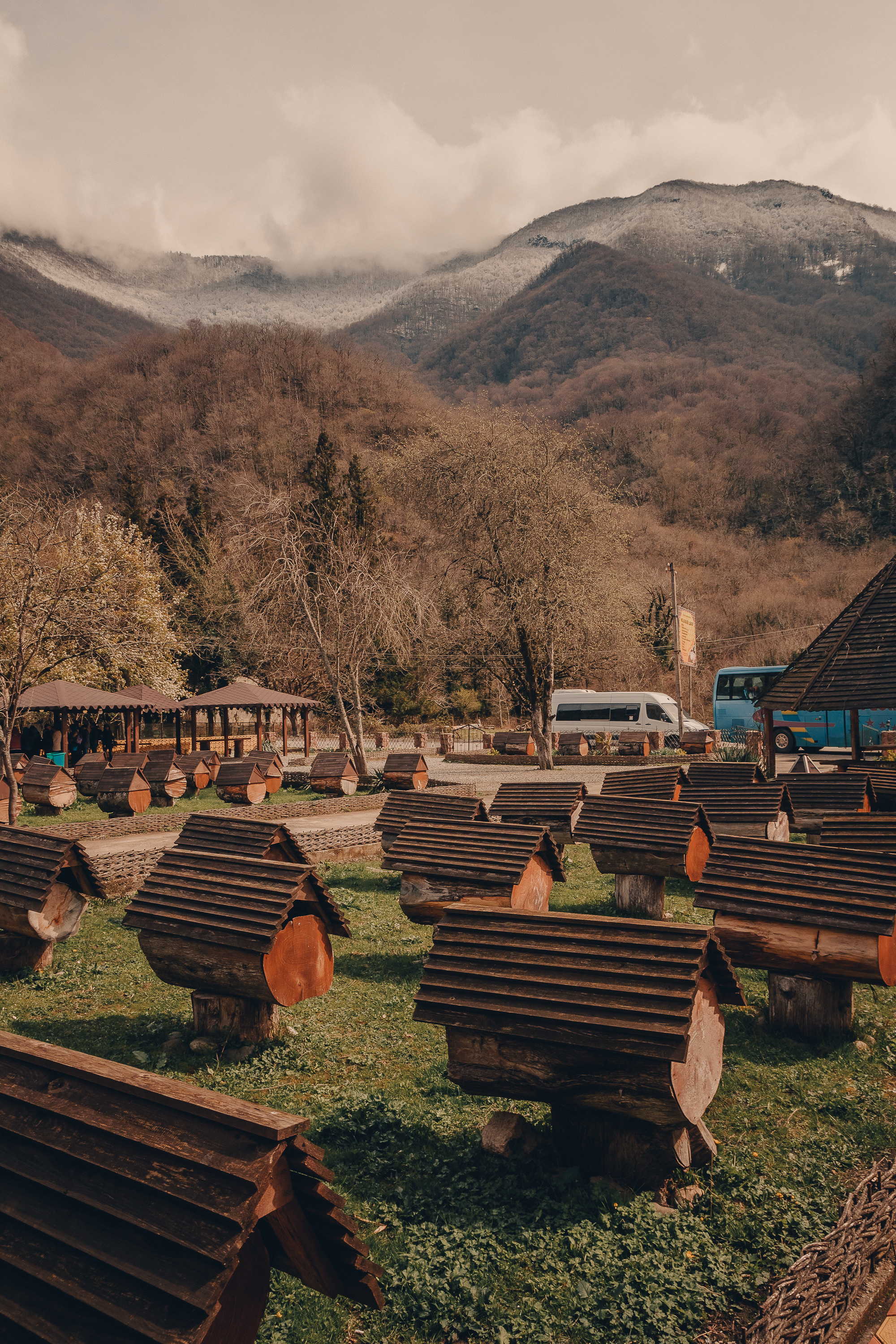 Абхазия. Фотошкола ArtFotoLife для начинающих и продвинутых фотографов