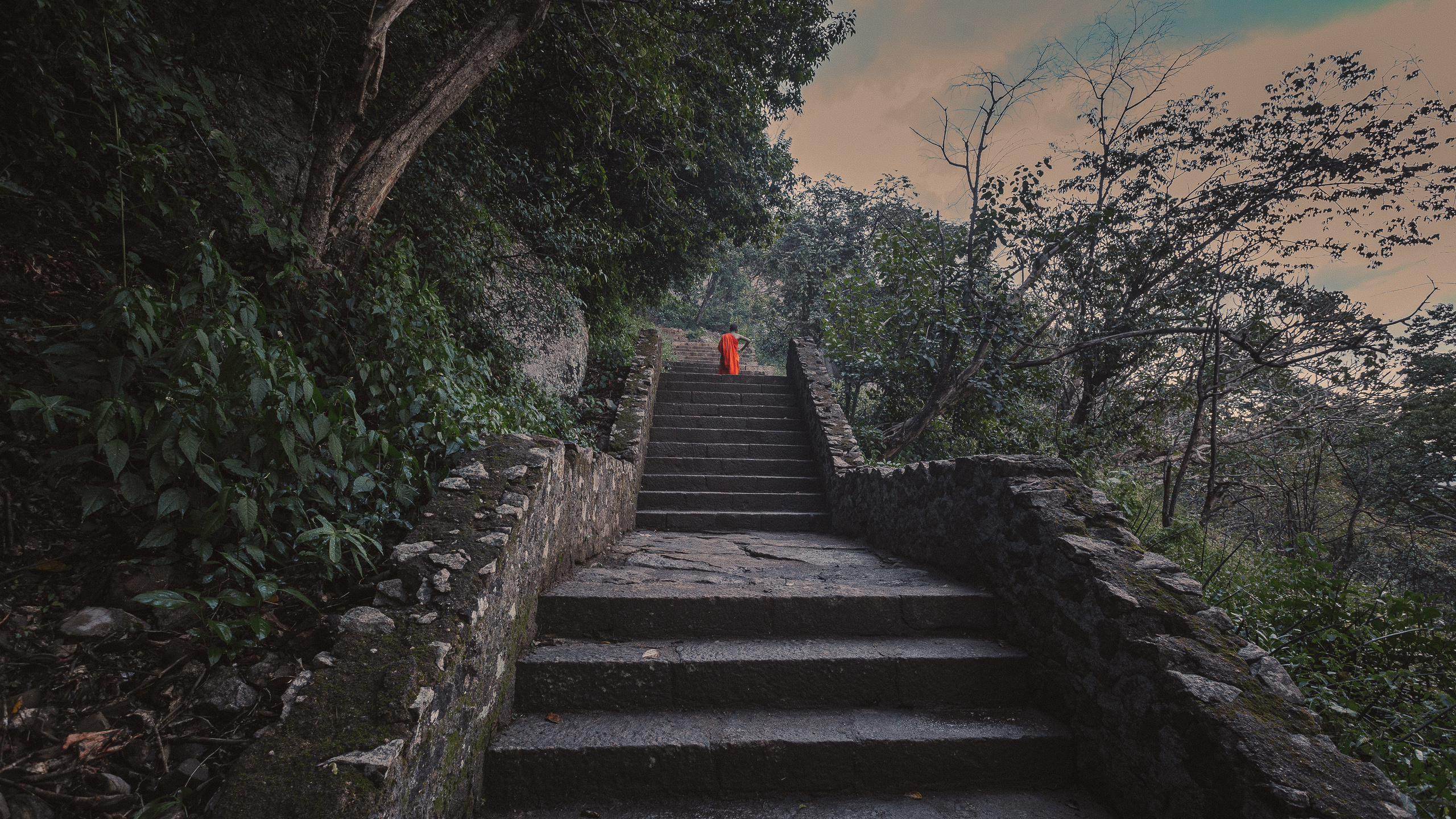 Шри-Ланка. Фотошкола ArtFotoLife для начинающих и продвинутых фотографов