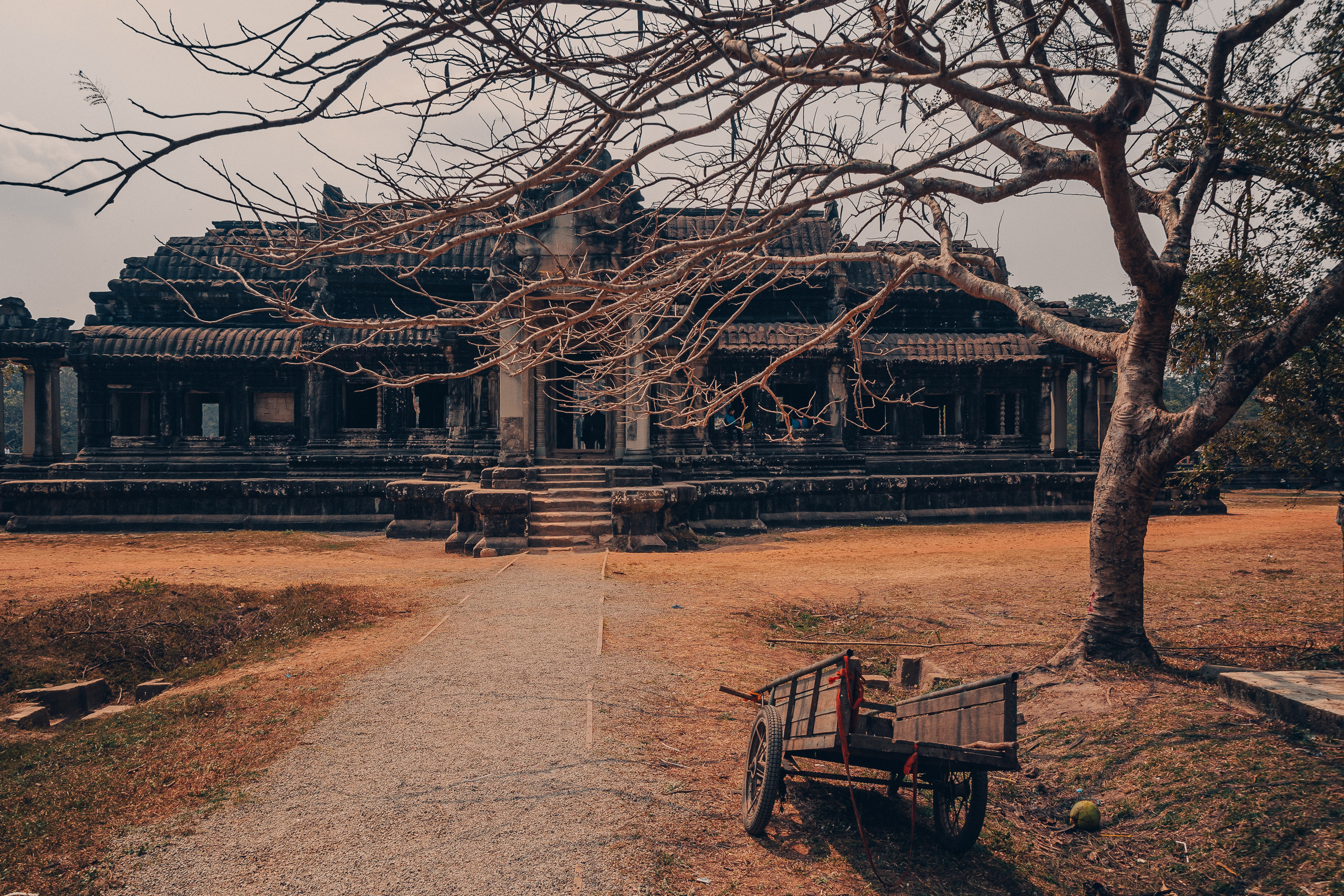 Камбоджа. Фотошкола ArtFotoLife для начинающих и продвинутых фотографов