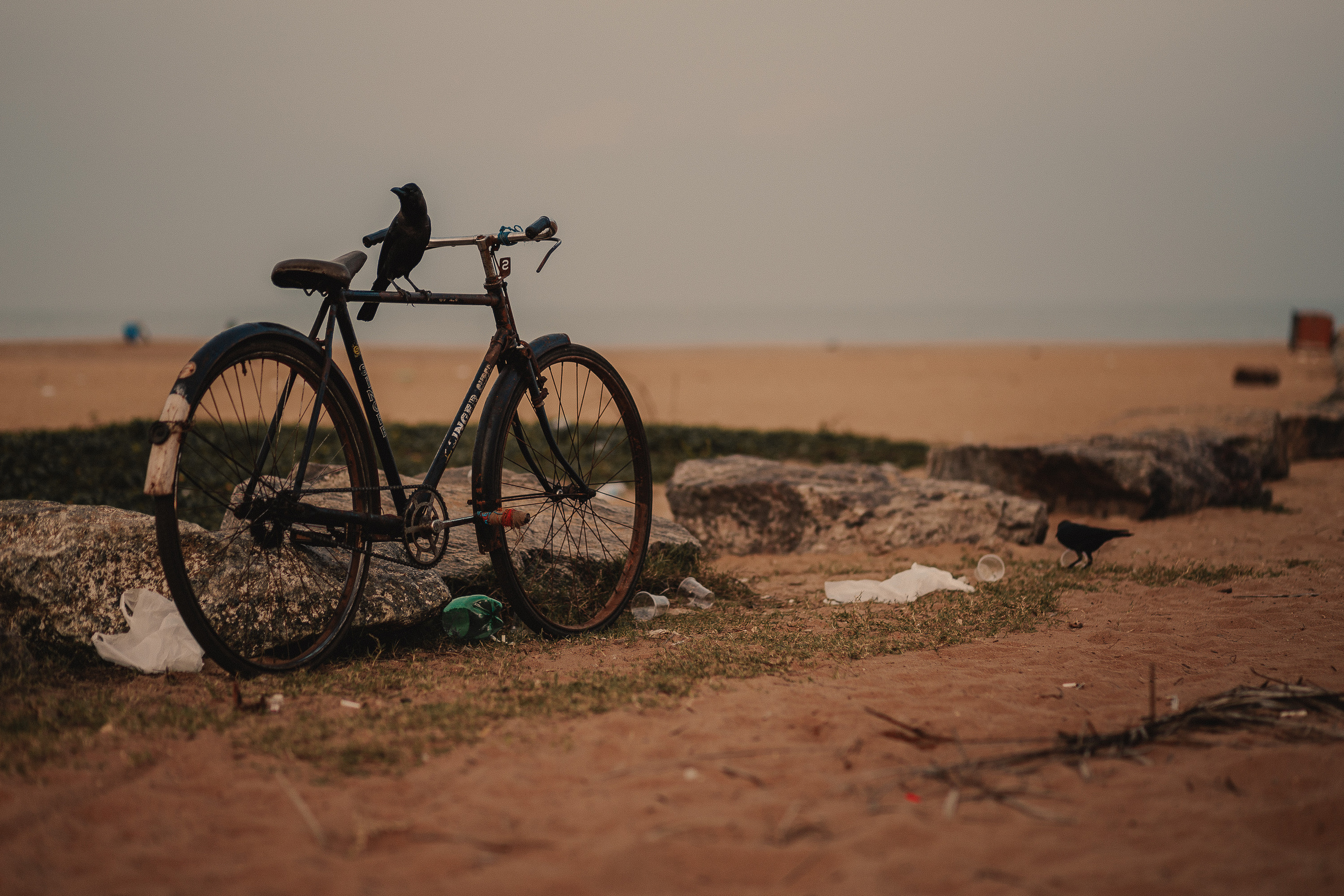 Шри-Ланка. Фотошкола ArtFotoLife для начинающих и продвинутых фотографов