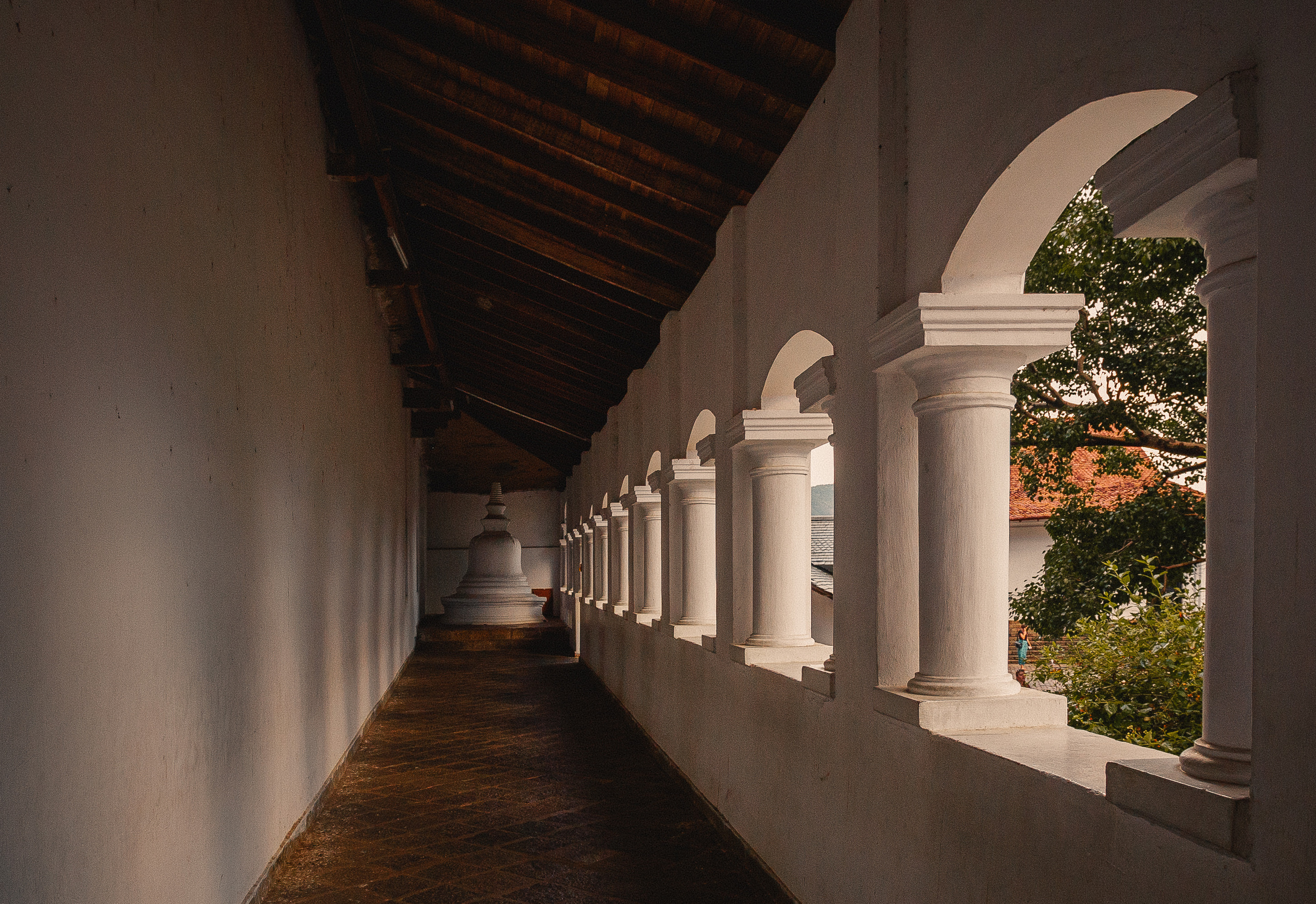 Шри-Ланка. Фотошкола ArtFotoLife для начинающих и продвинутых фотографов