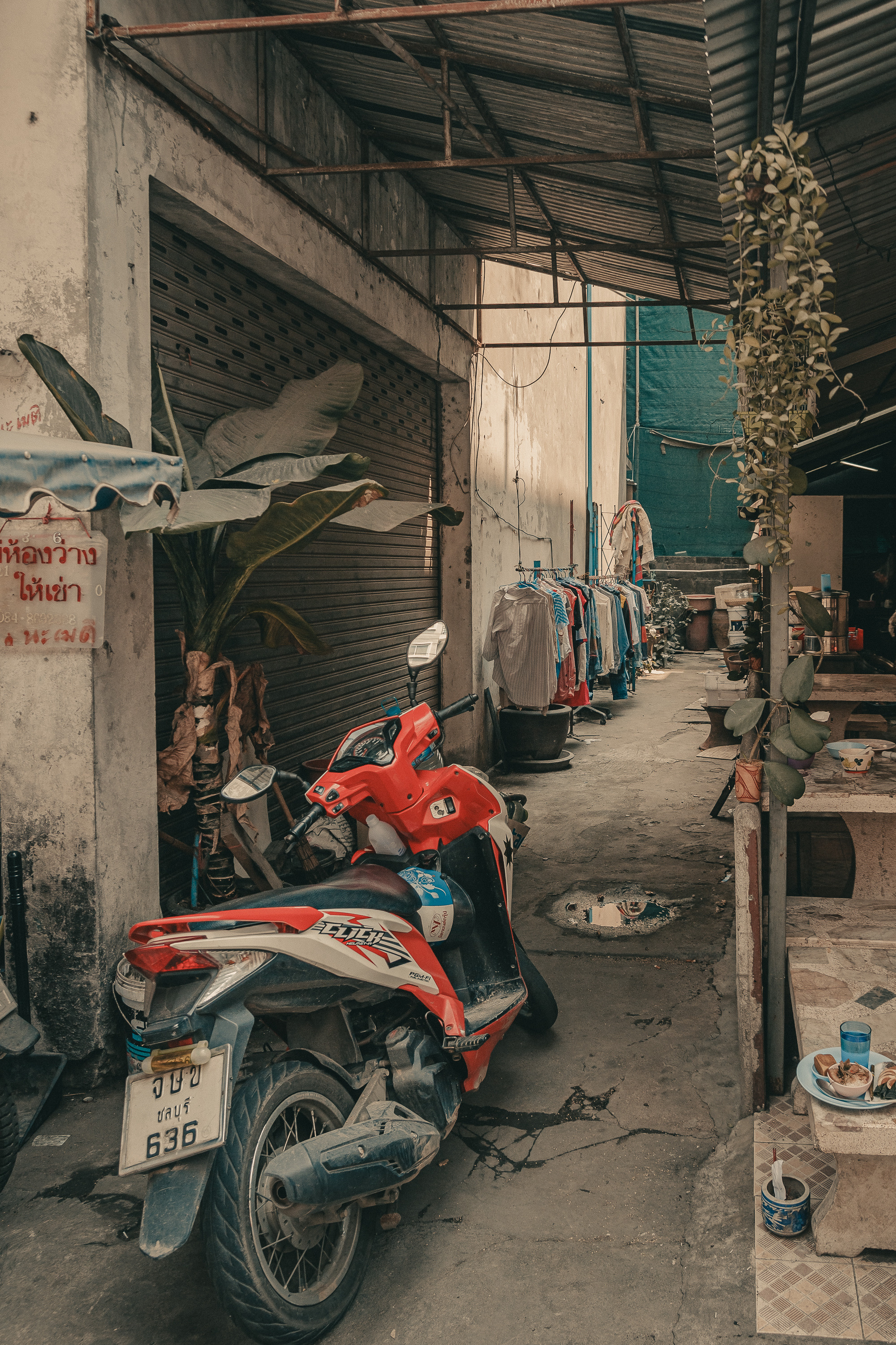 Таиланд. Фотошкола ArtFotoLife для начинающих и продвинутых фотографов