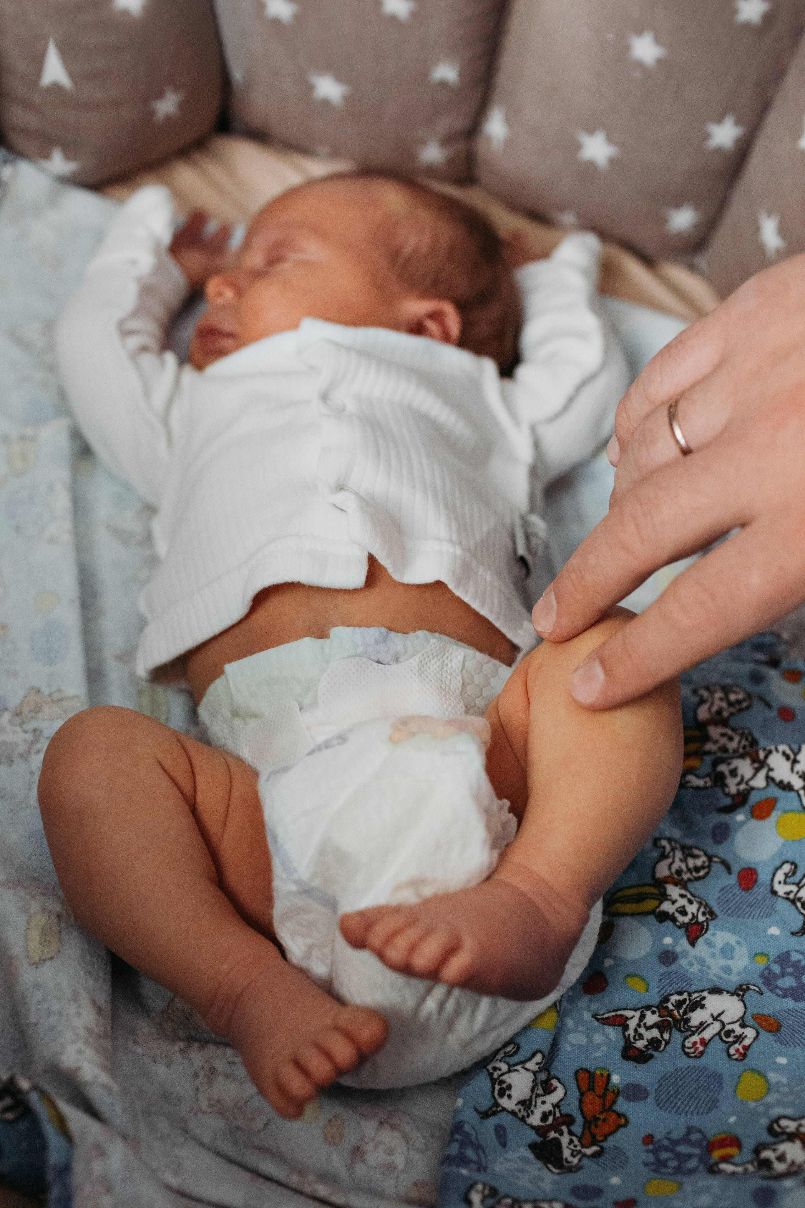 Макар, Юля, Дима. Семейный фотограф Томск